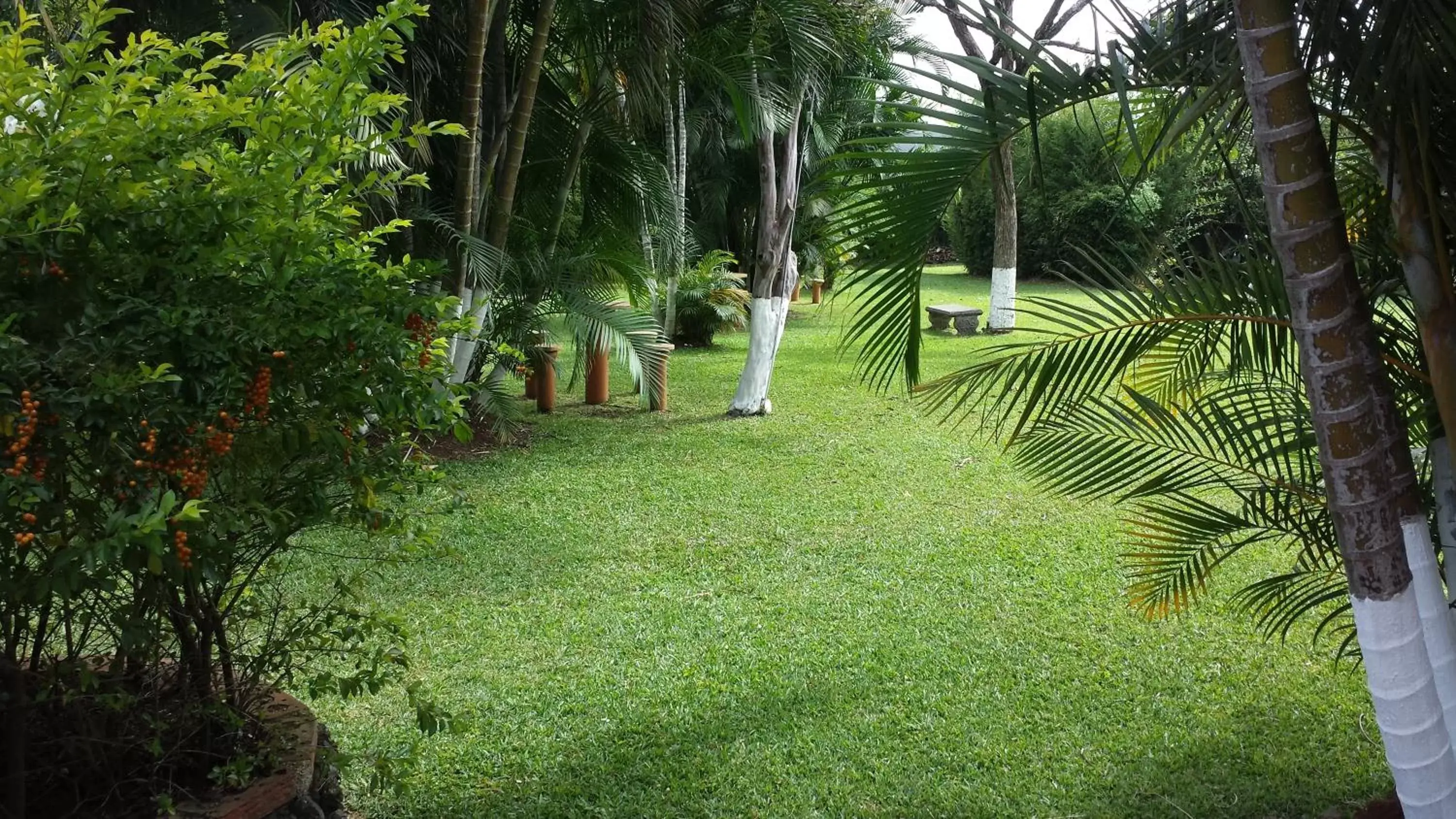 Garden in Hotel Cibeles Resort