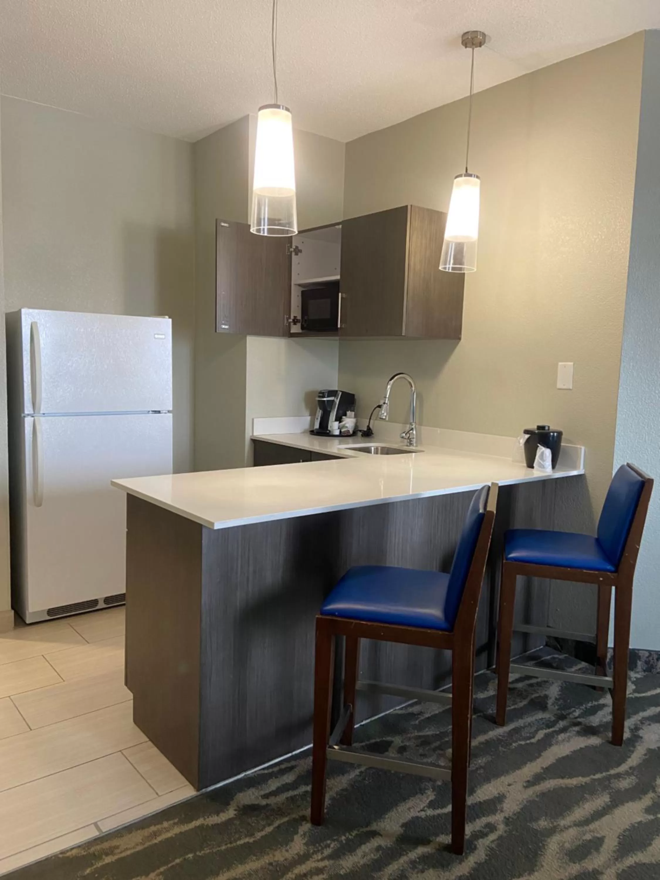 Kitchen or kitchenette in La Quinta by Wyndham Kokomo