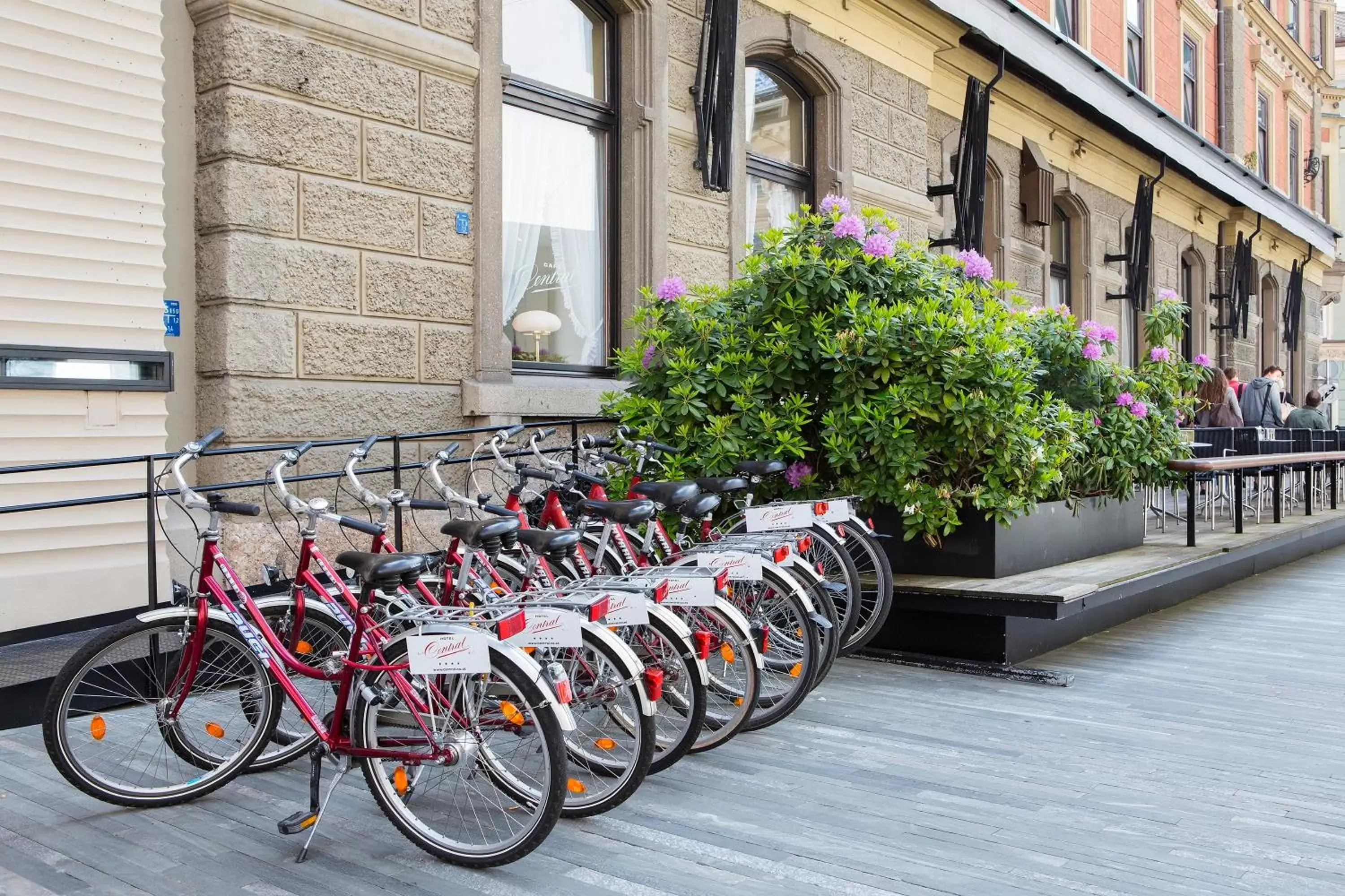 Cycling in Hotel Central