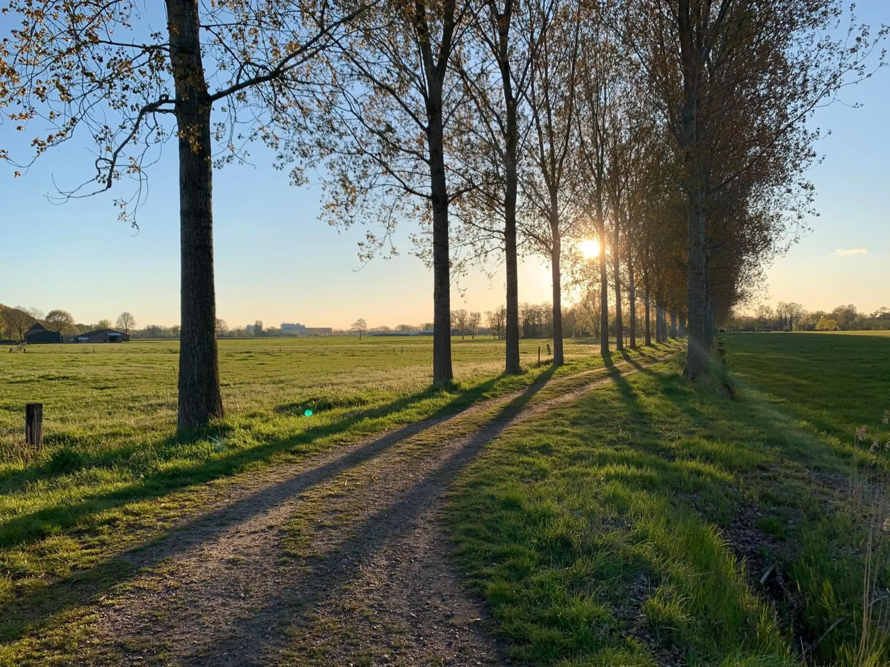 Natural landscape in B&B OP3 Aarle-Rixtel