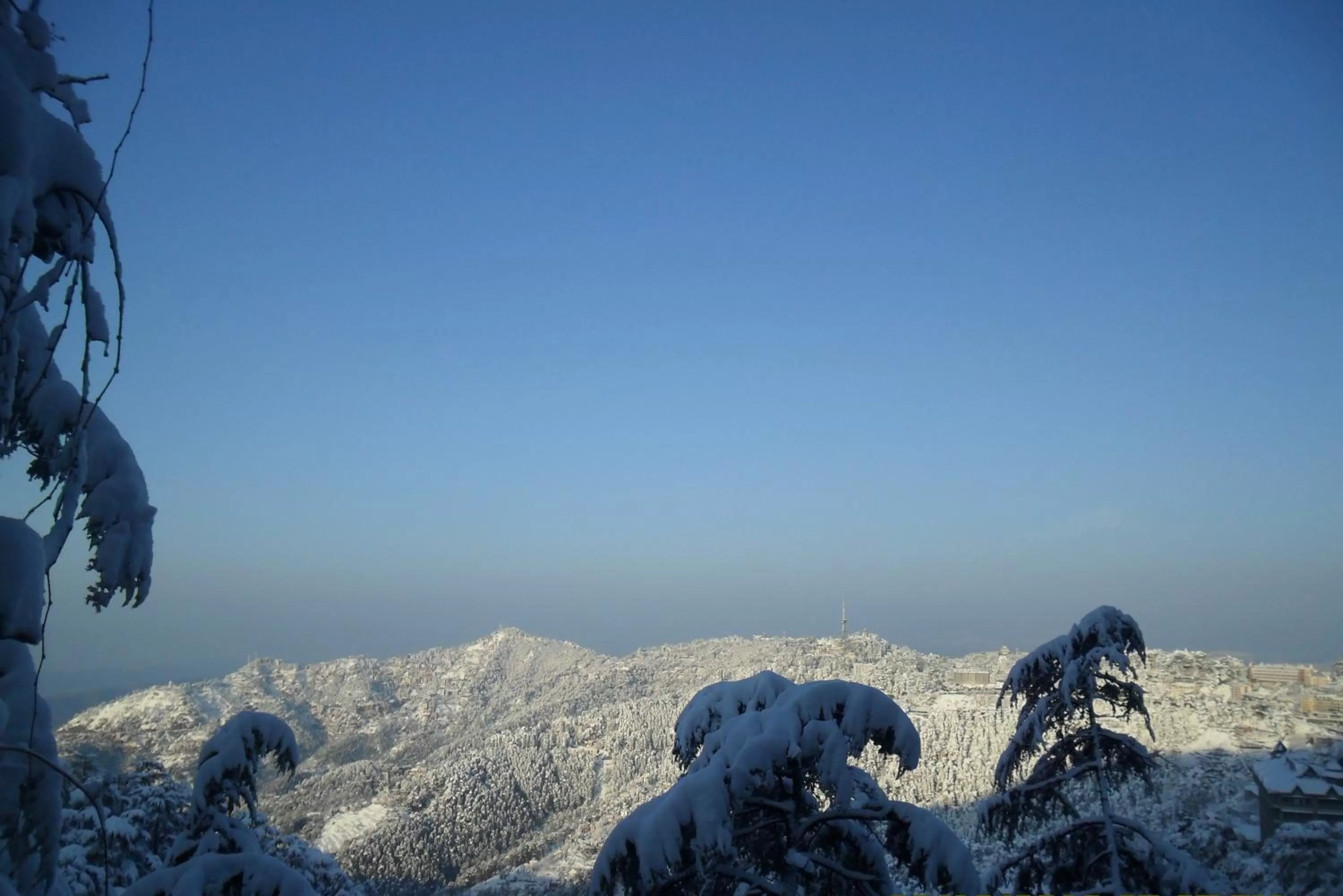 View (from property/room) in Honeymoon Inn Shimla