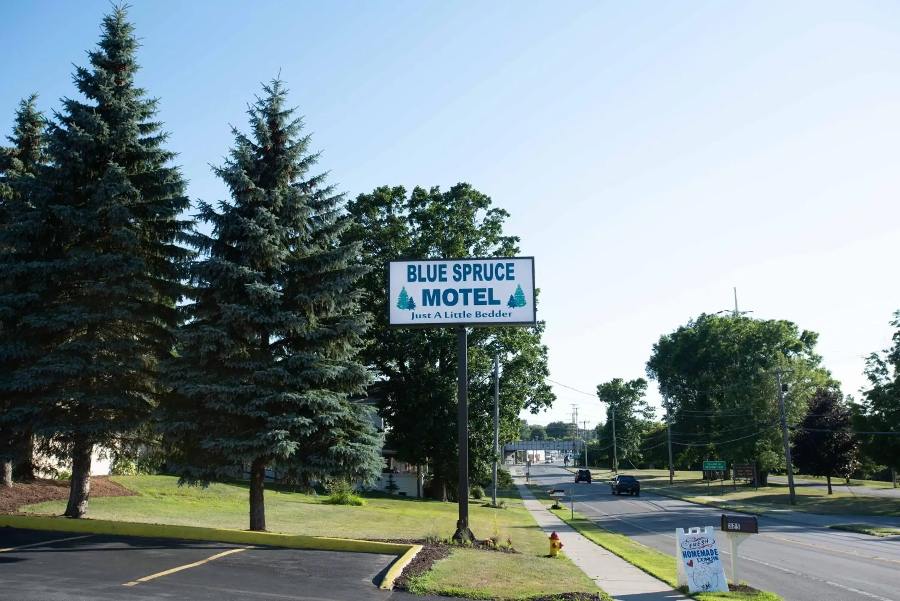 Property logo or sign in Blue Spruce Motel