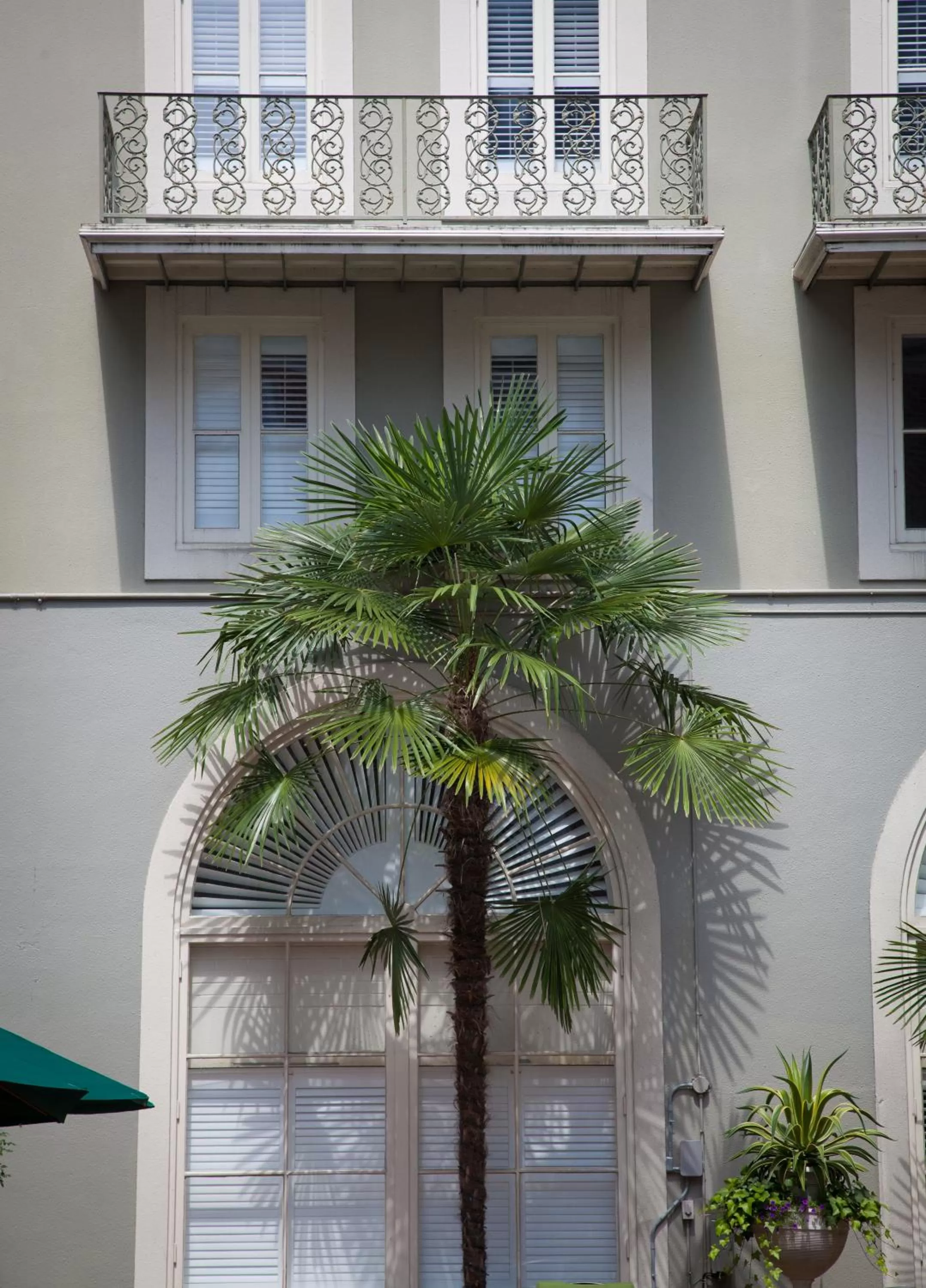 View (from property/room) in Bourbon Orleans Hotel