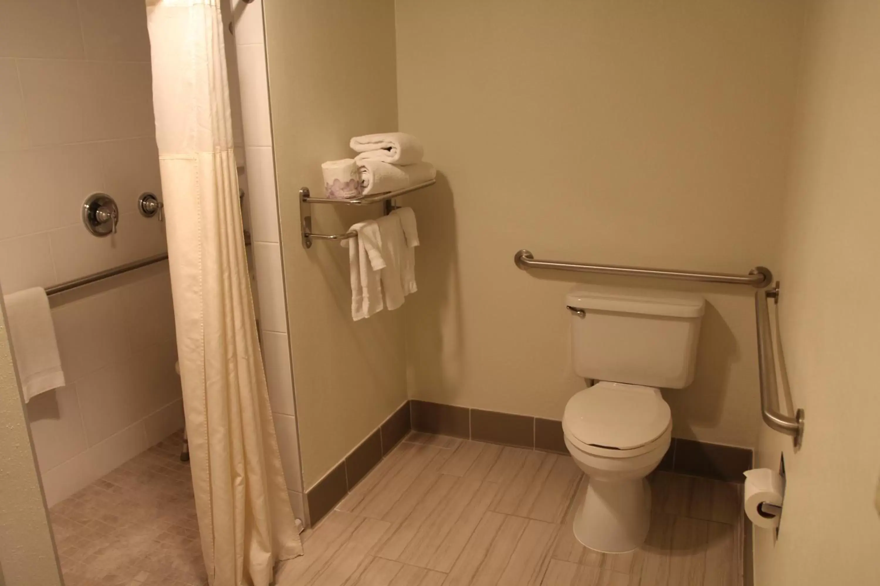 acessibility, Bathroom in Best Western Plus Executive Inn
