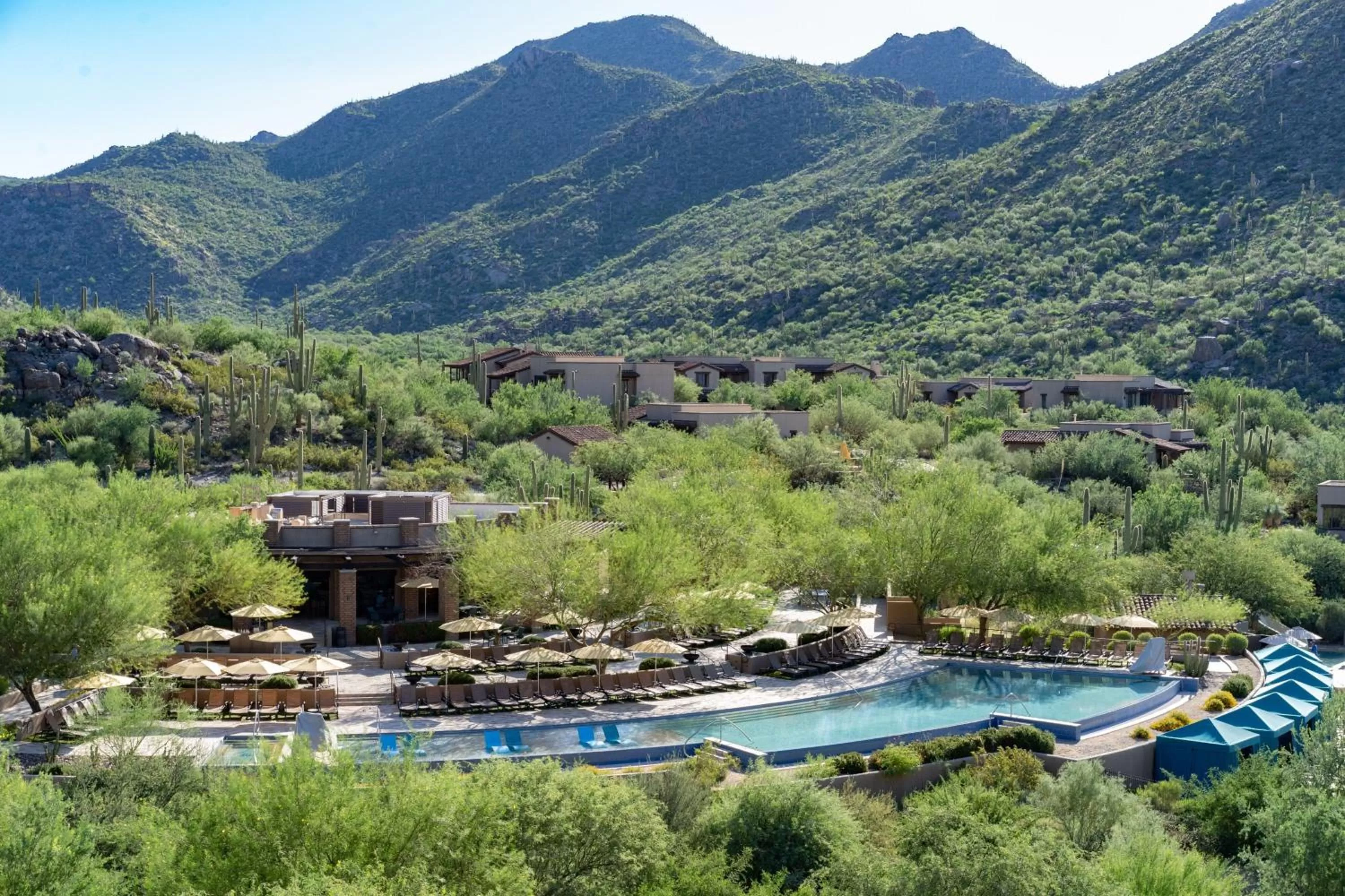 Swimming pool in The Ritz-Carlton, Dove Mountain