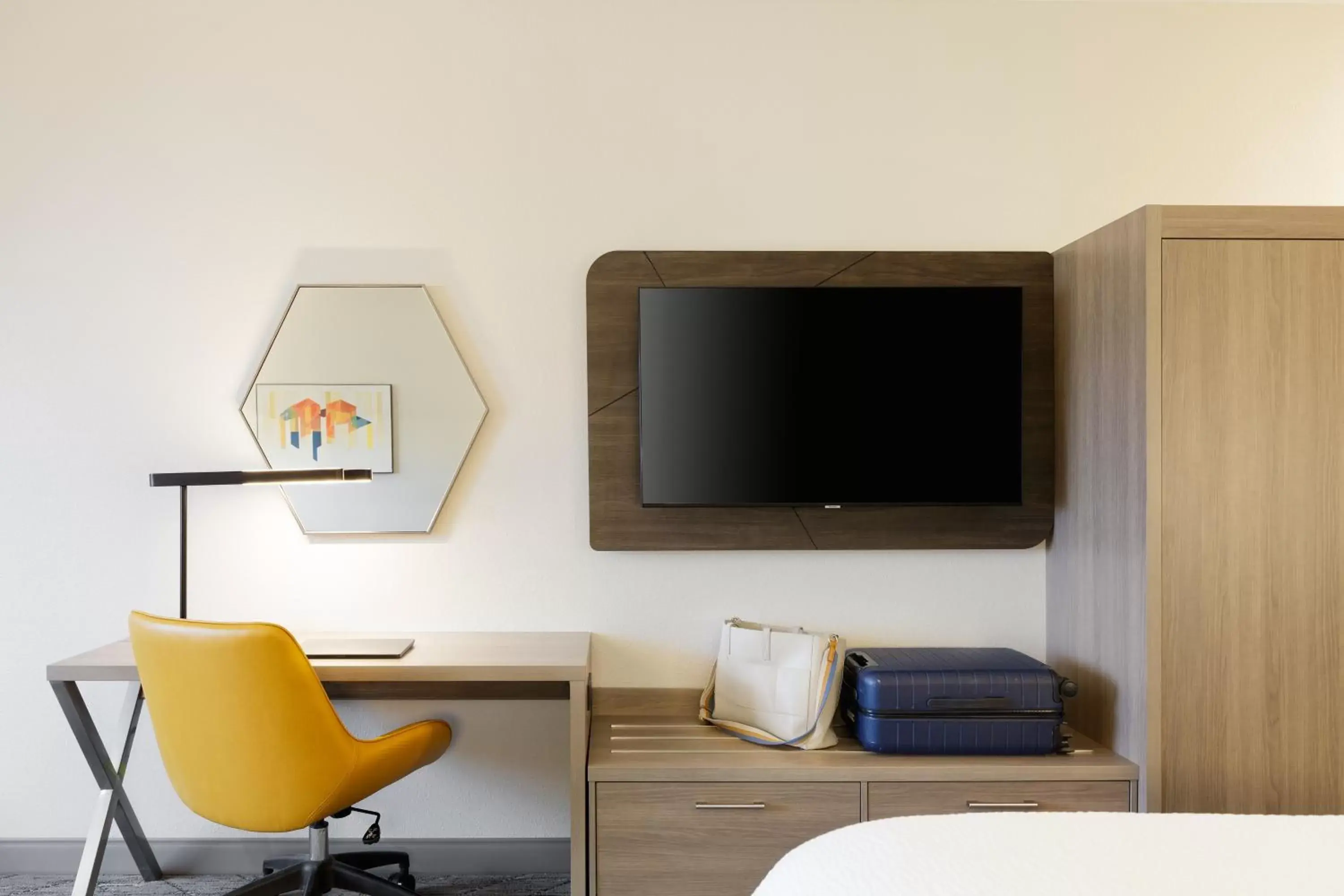 TV/Entertainment Center in Holiday Inn Express & Suites - Toronto Airport South, an IHG Hotel