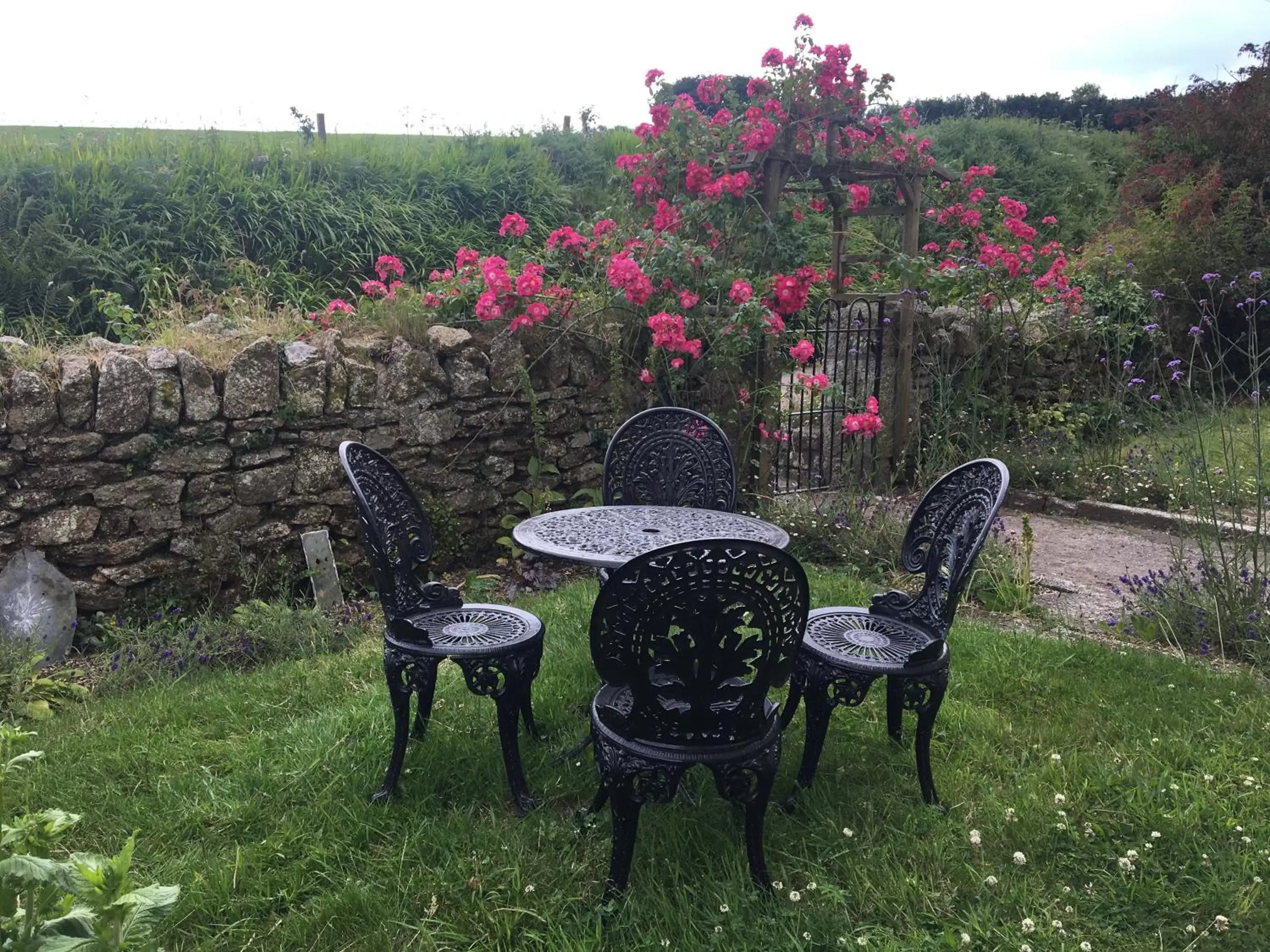 Garden in Treganoon House, Lanlivery