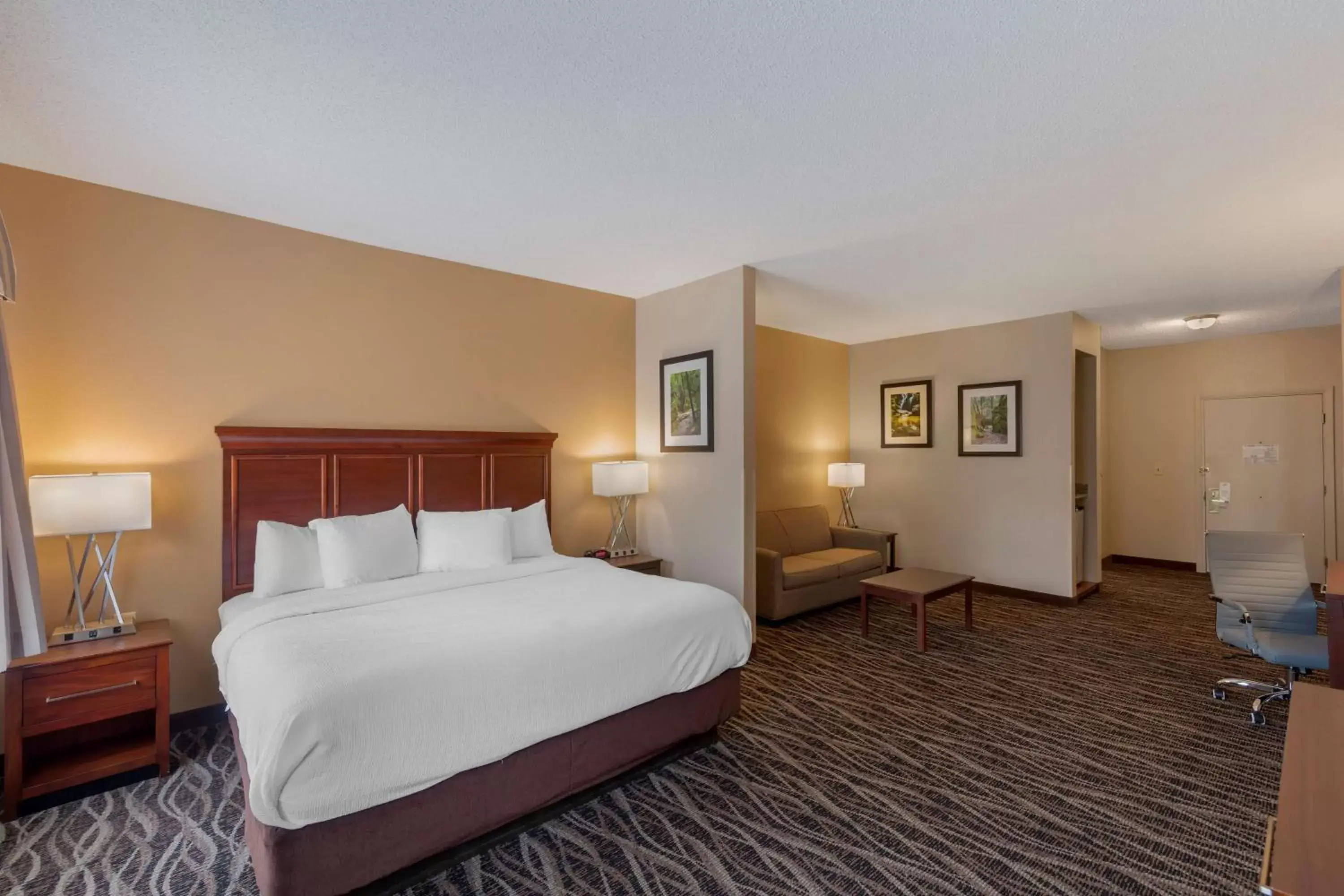 Bedroom, Bed in Best Western Plus Russellville Hotel & Suites