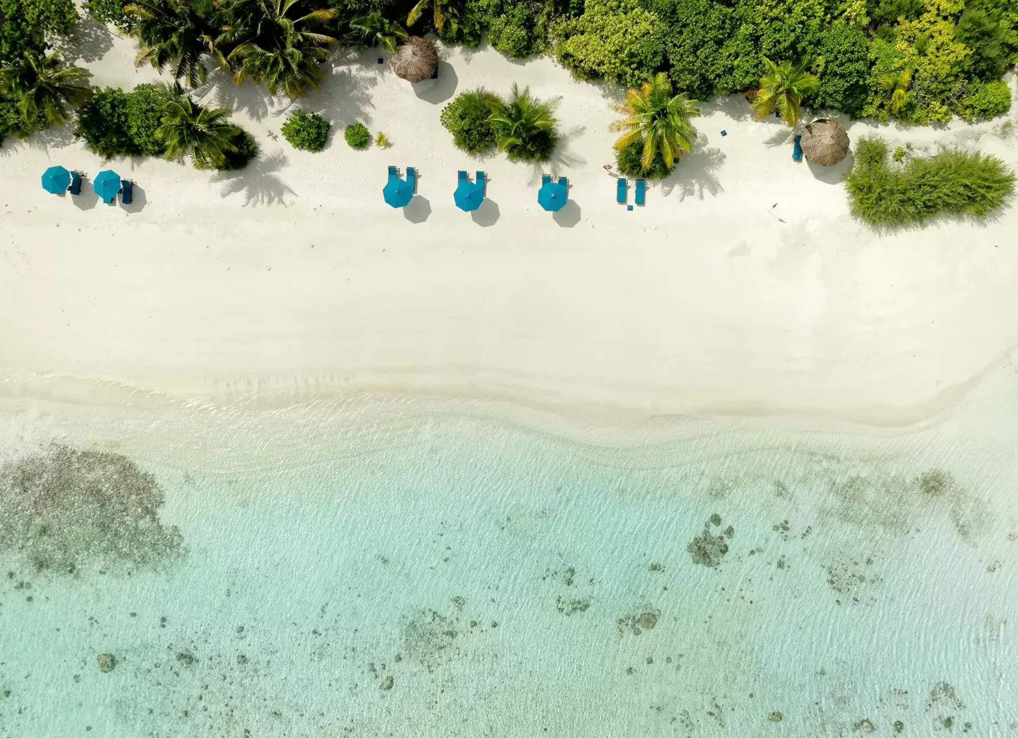 Day, Bird's-eye View in Canareef Resort Maldives