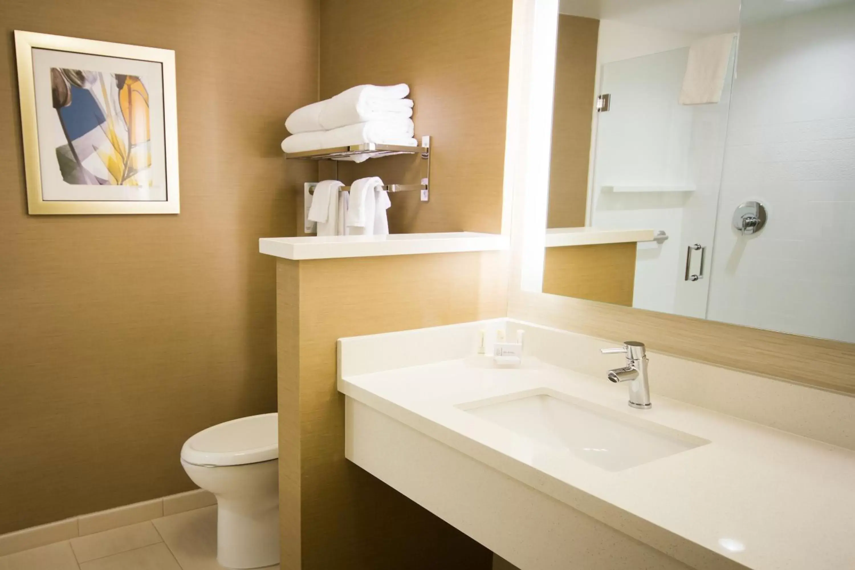 Bathroom in Fairfield Inn & Suites by Marriott Denver Northeast/Brighton