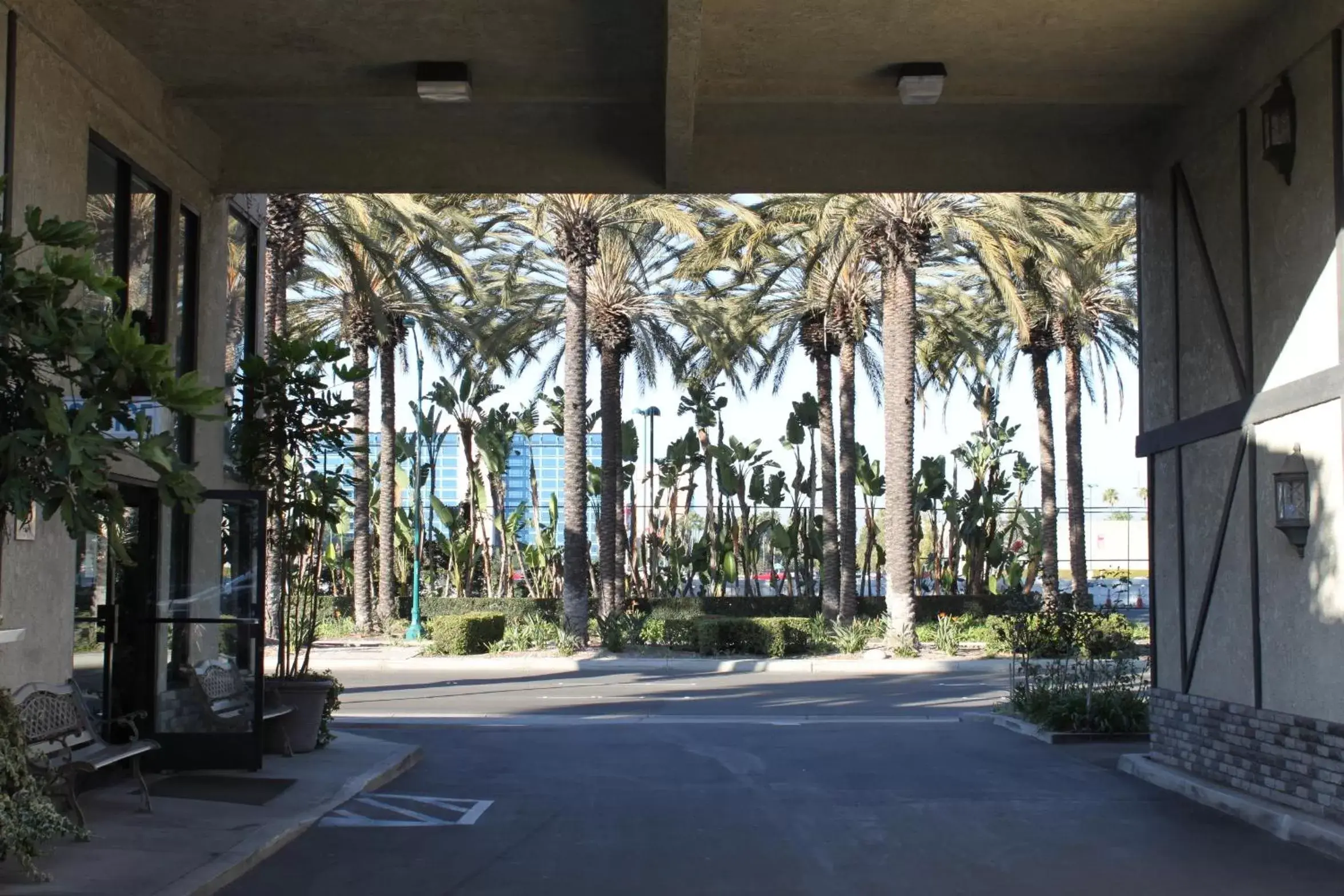 Facade/entrance in Alamo Inn and Suites - Convention Center