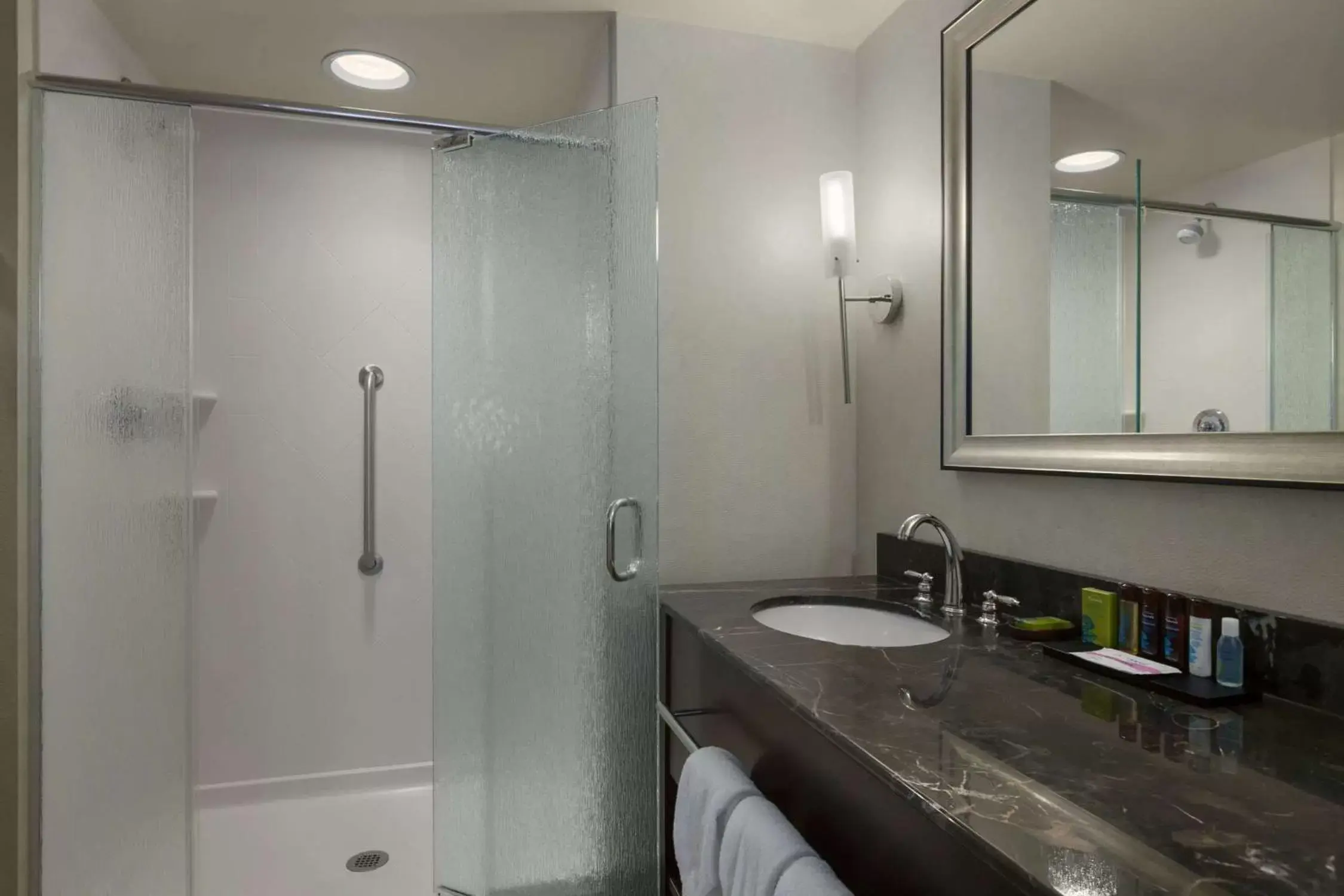 Bed, Bathroom in Embassy Suites Savannah Airport