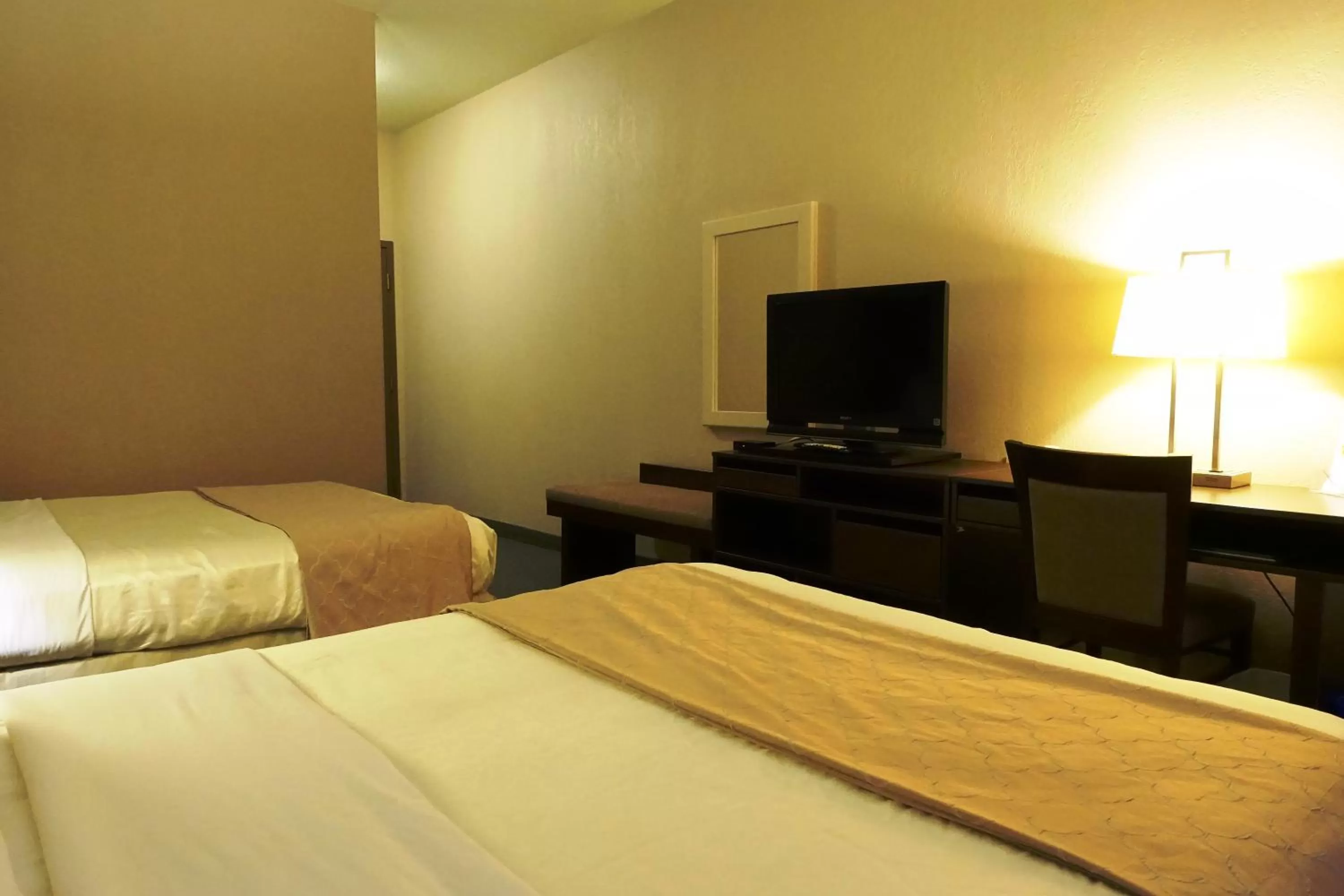 Bed in Super 8 by Wyndham Dauphin