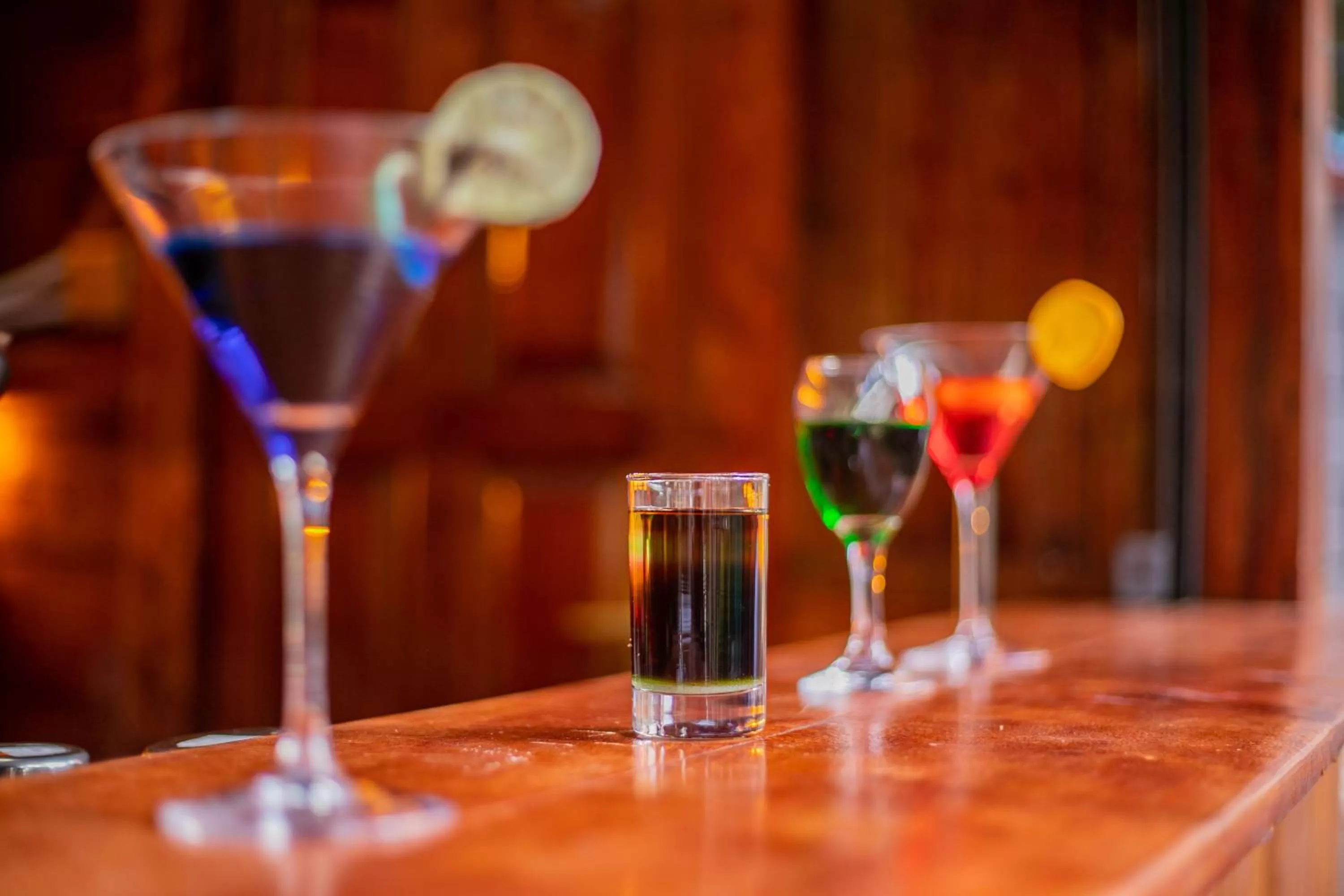 Lounge or bar in Lovely Garden Guest Home