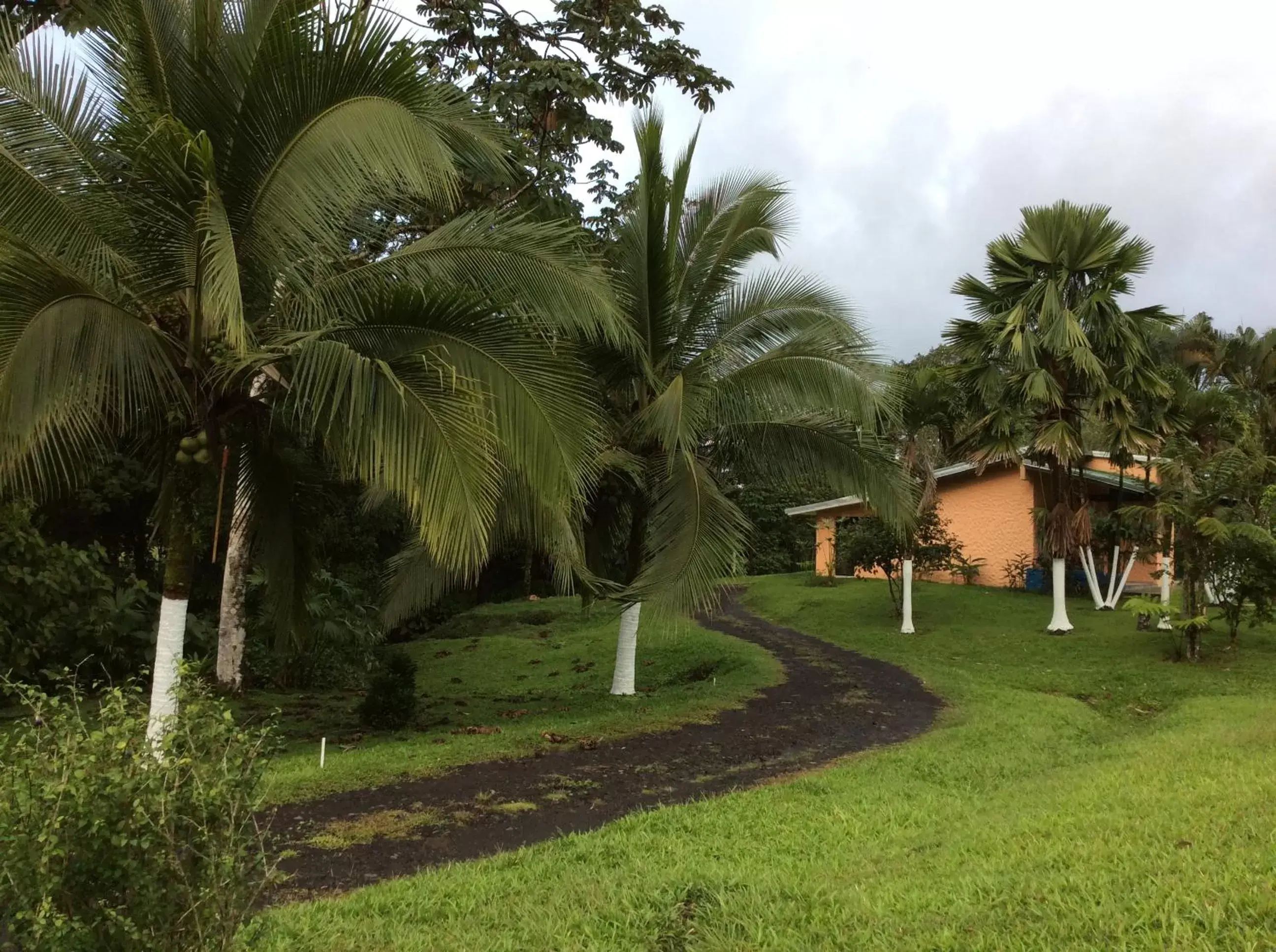 Garden in Confort Arenal