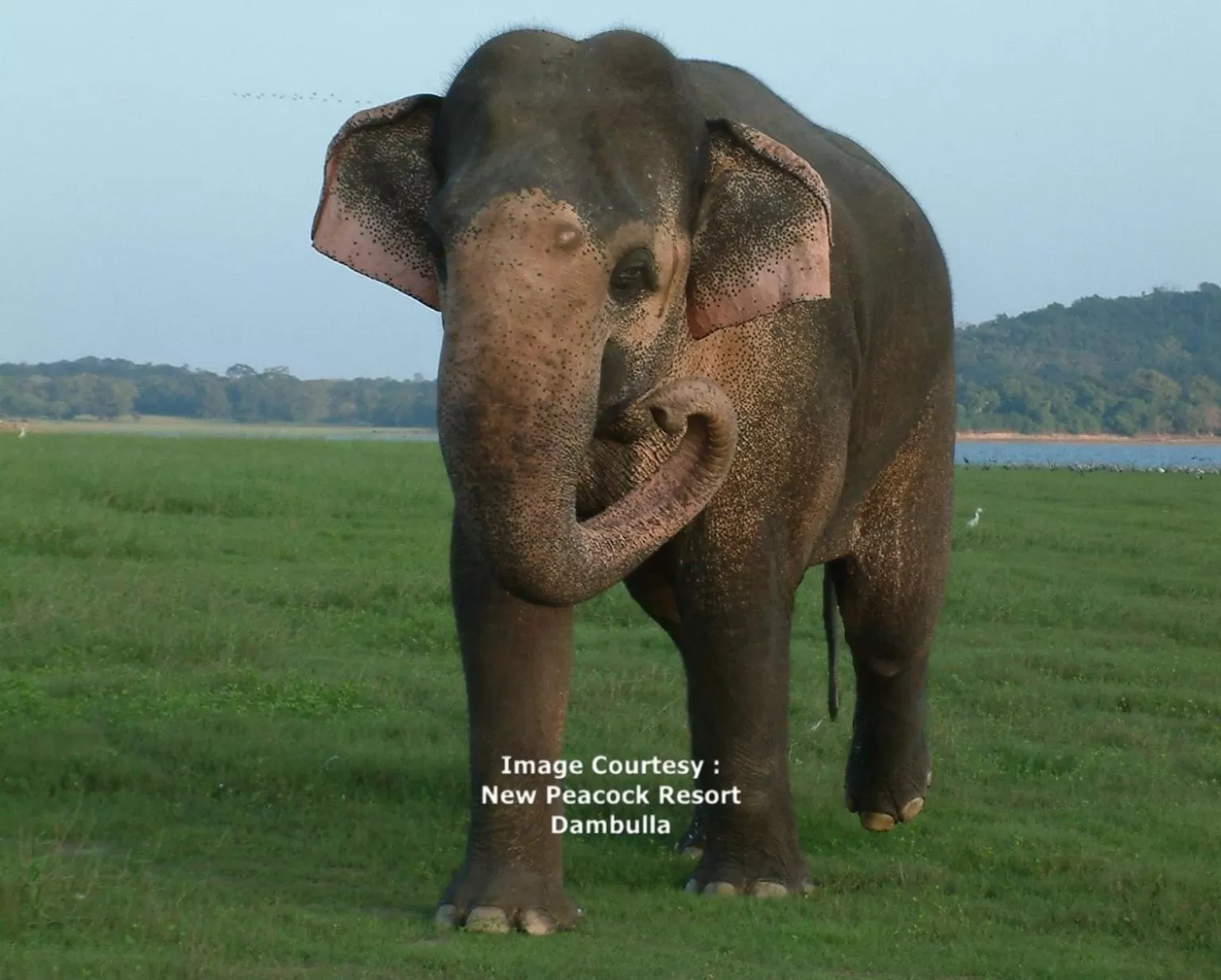 Off site in New Peacock Resort