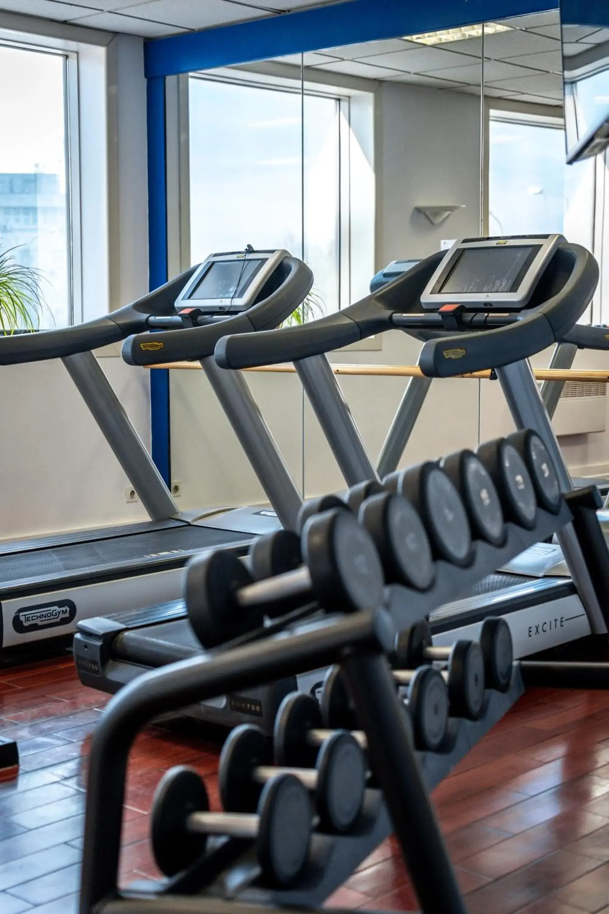 Fitness centre/facilities, Fitness Center/Facilities in Pullman Bucharest World Trade Center