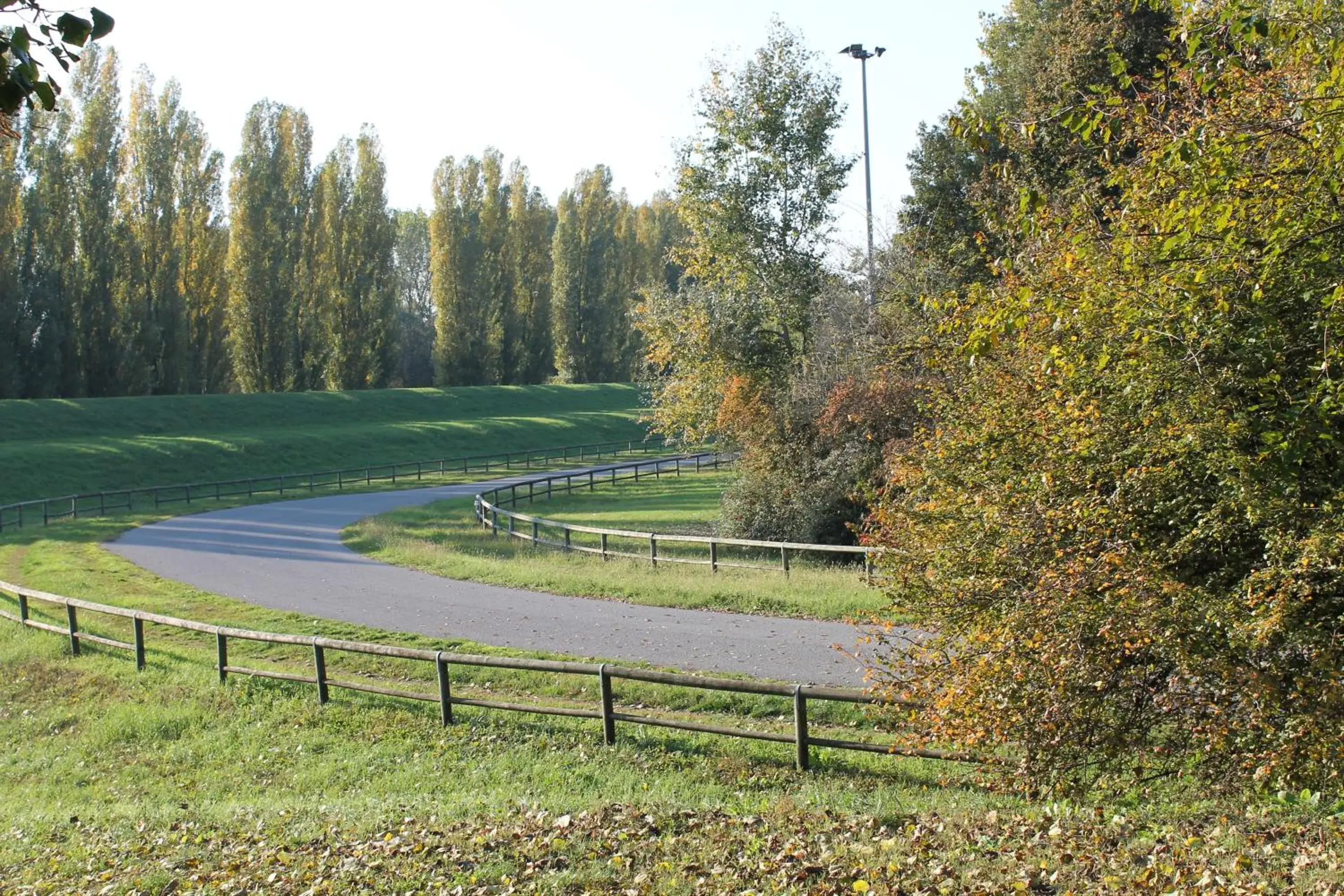 Cycling in Hotel Cremona Viale