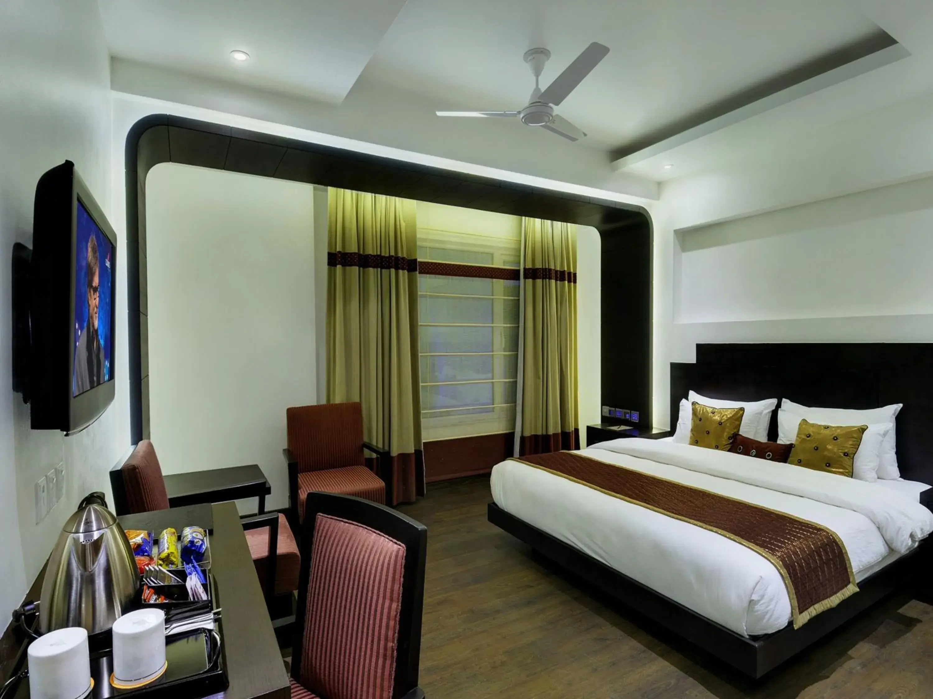 TV and multimedia in Hotel GODWIN DELUXE - New Delhi Railway Station - Paharganj