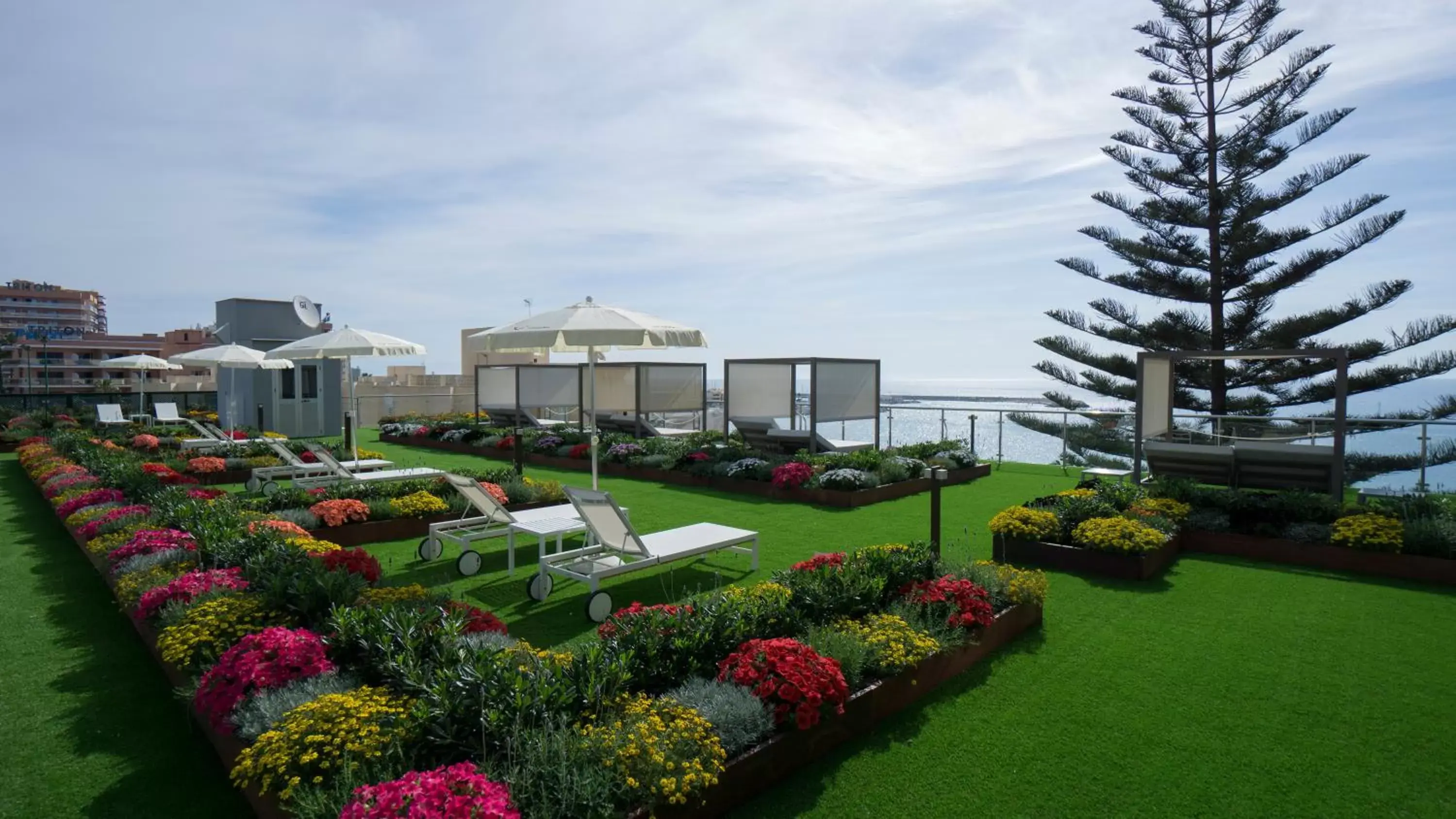Solarium, Garden in Medplaya Hotel Riviera - Adults Recommended