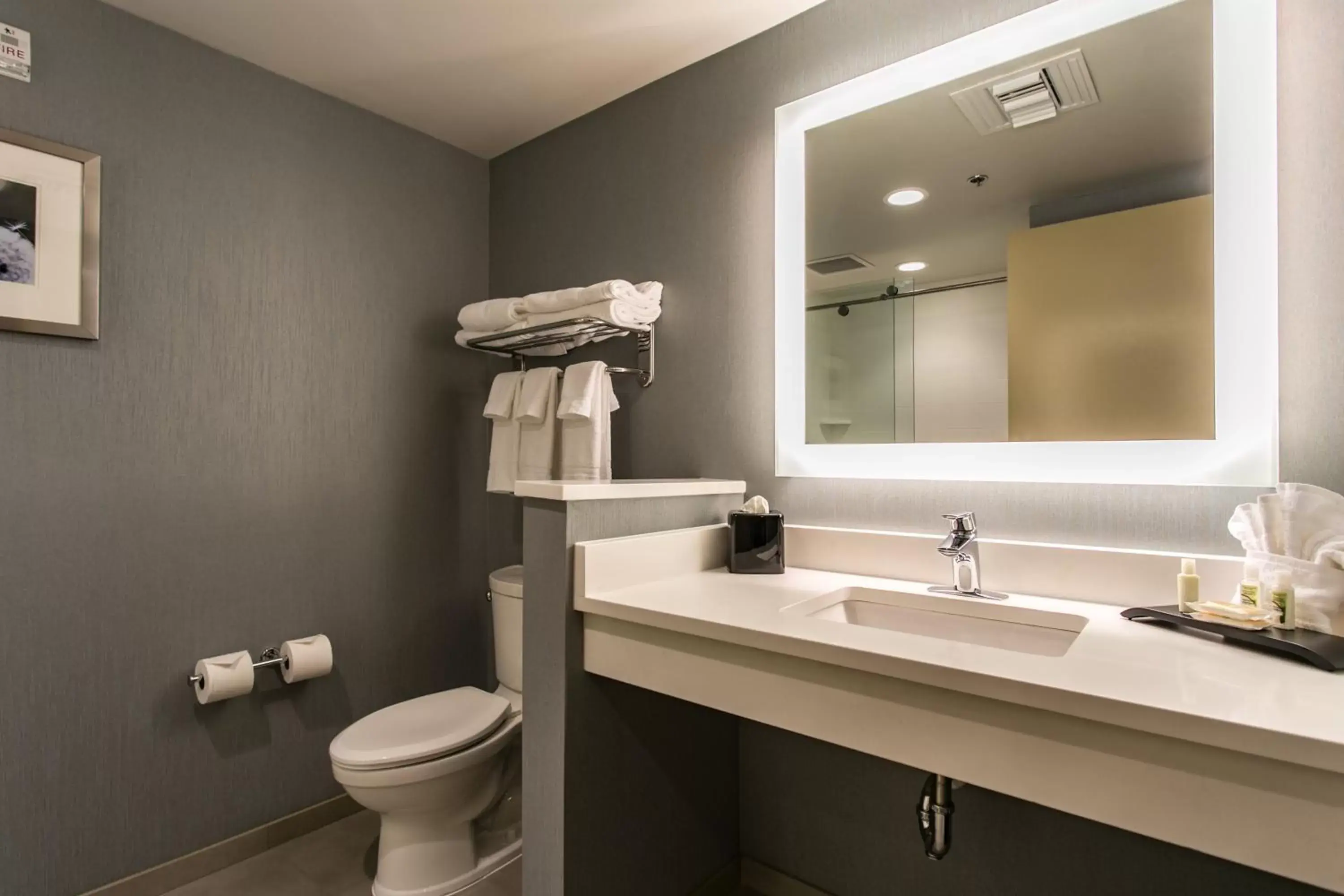 Photo of the whole room, Bathroom in Holiday Inn Hotel & Suites Chattanooga, an IHG Hotel