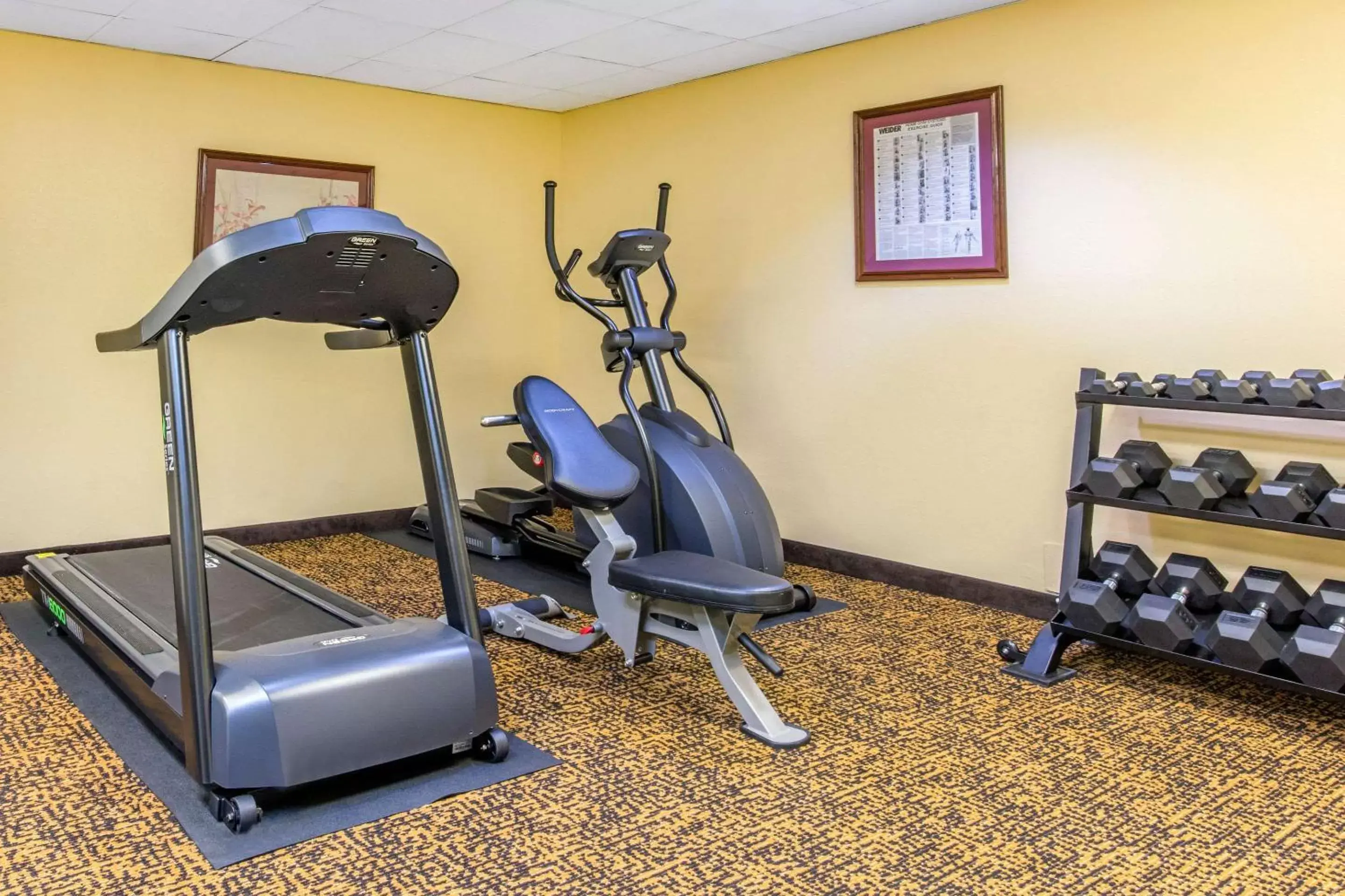 Fitness centre/facilities, Fitness Center/Facilities in Quality Inn & Suites Montgomery East Carmichael Rd