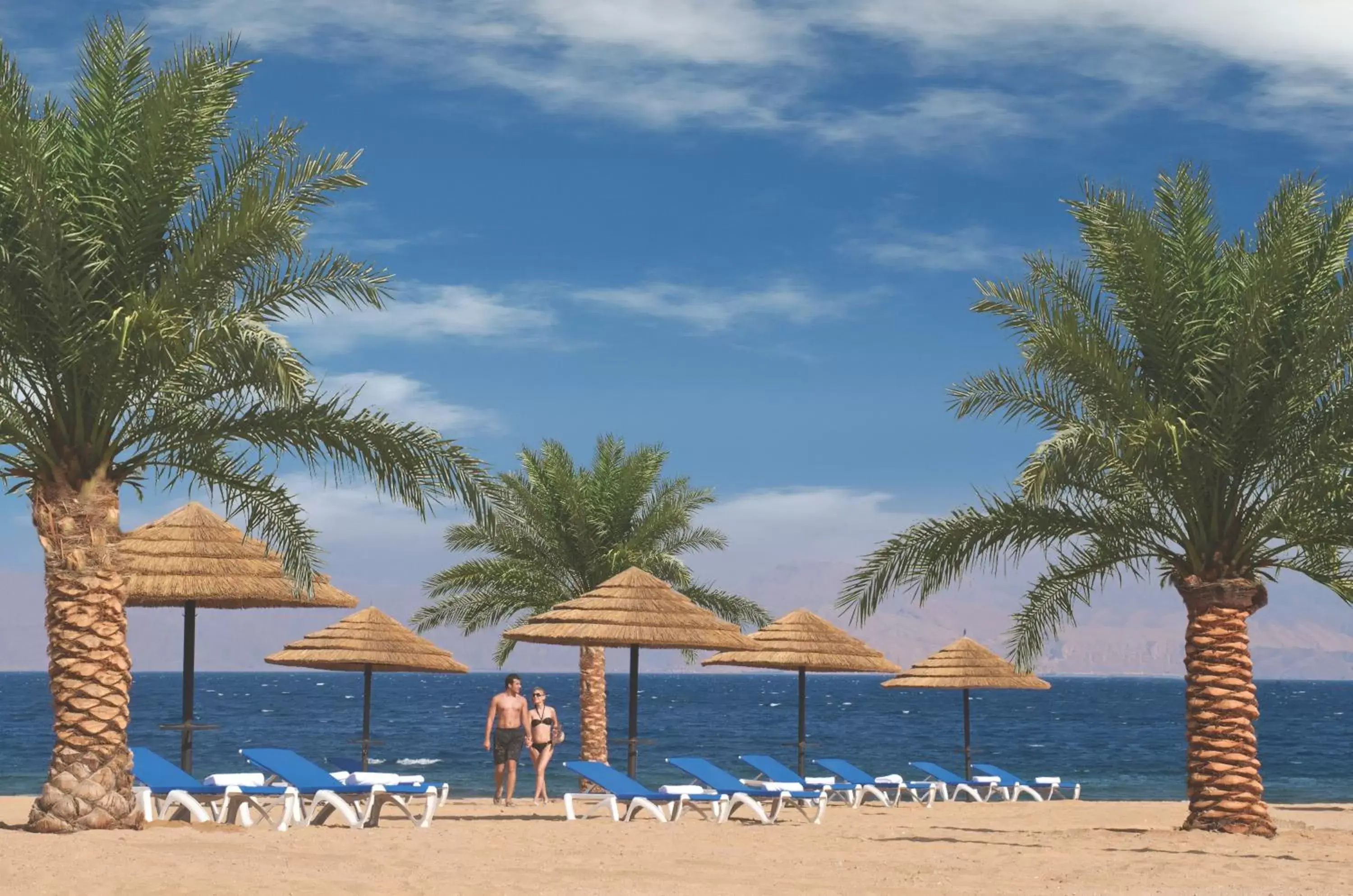 Beach, Swimming Pool in Movenpick Resort & Spa Tala Bay Aqaba