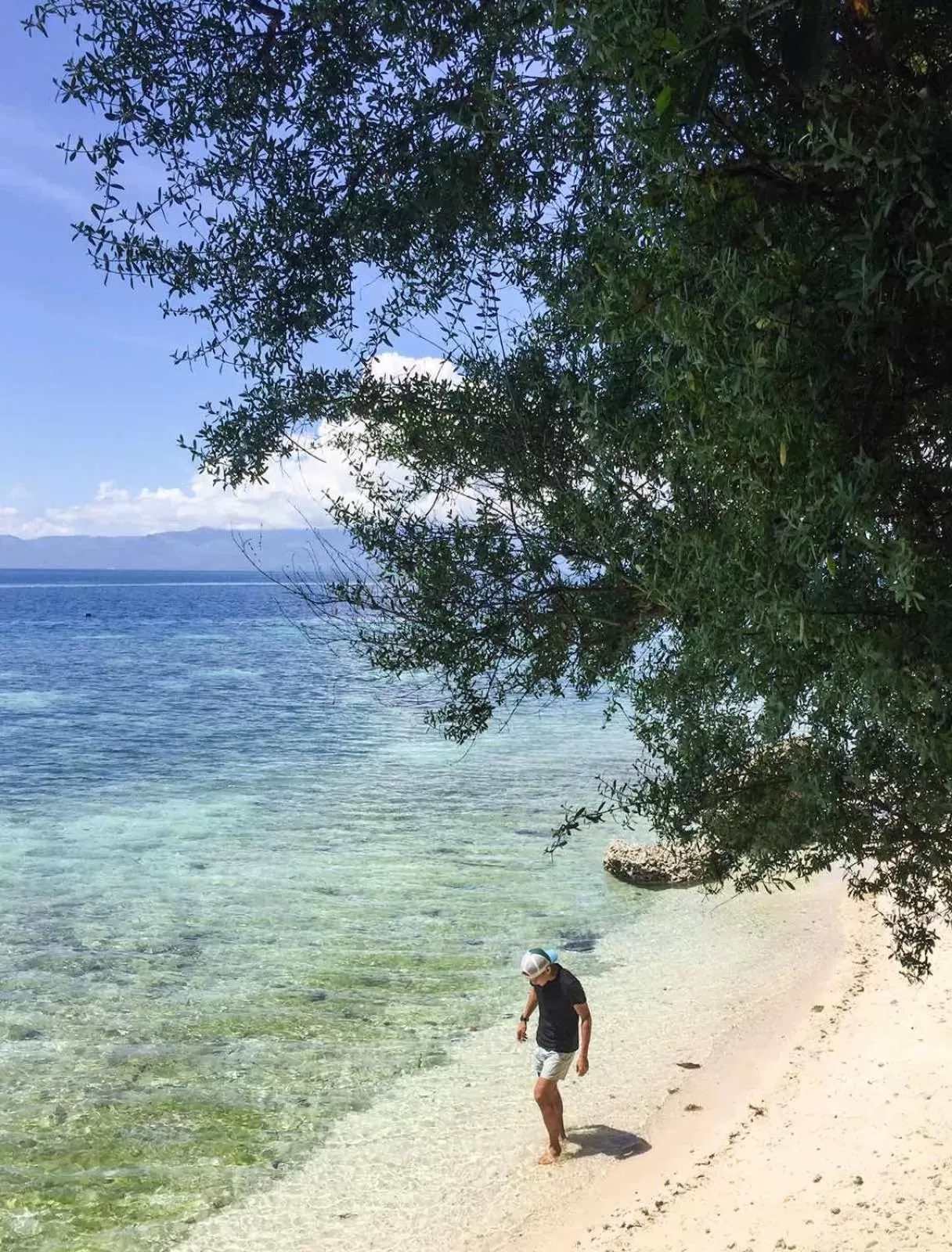 Beach in Pescador View - Beach Resort & Restaurant