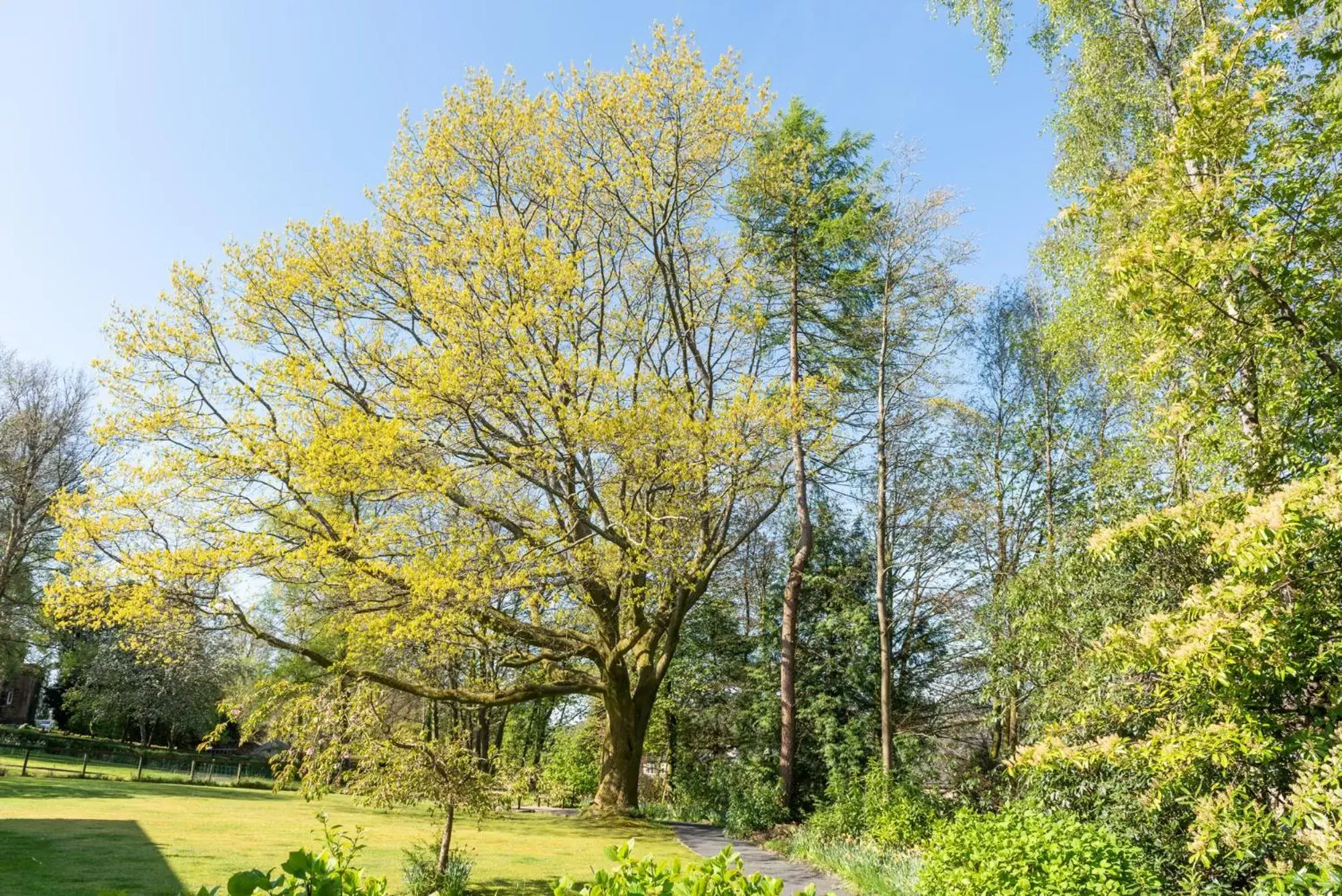 Garden in Windermere Manor Hotel