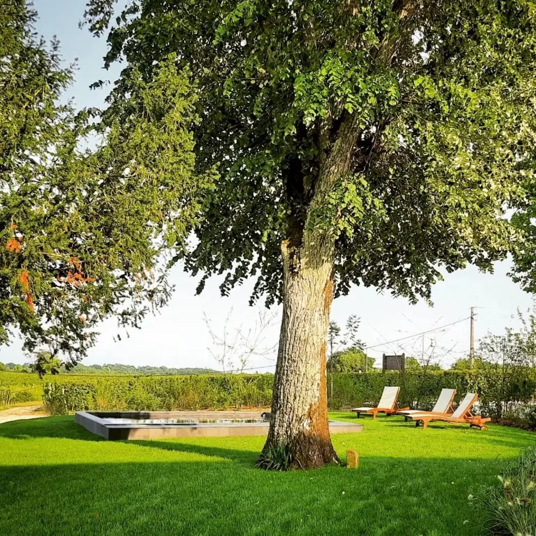 Garden in Le logis de Valandraud