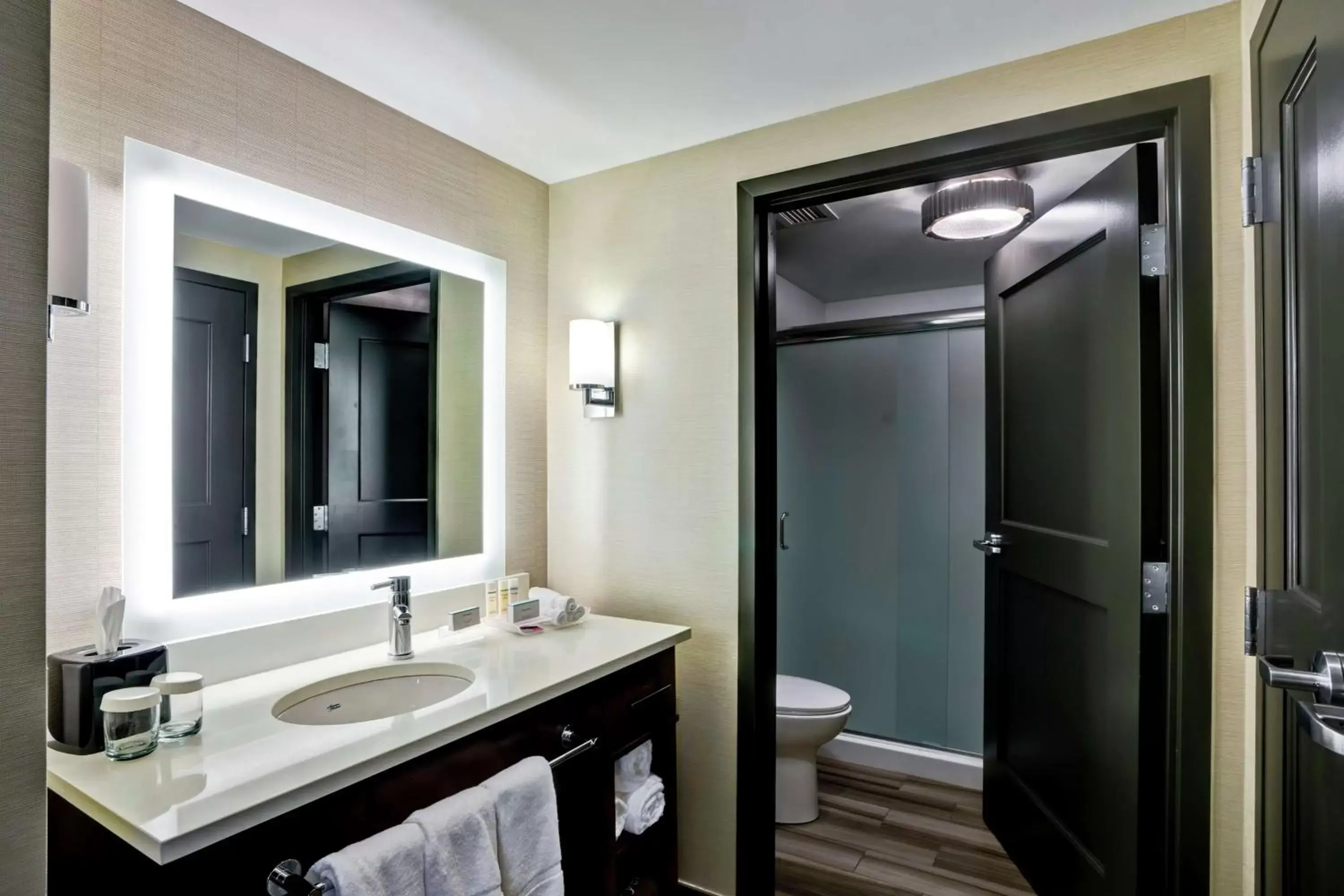 Bathroom in Homewood Suites by Hilton Boston Brookline-Longwood Medical