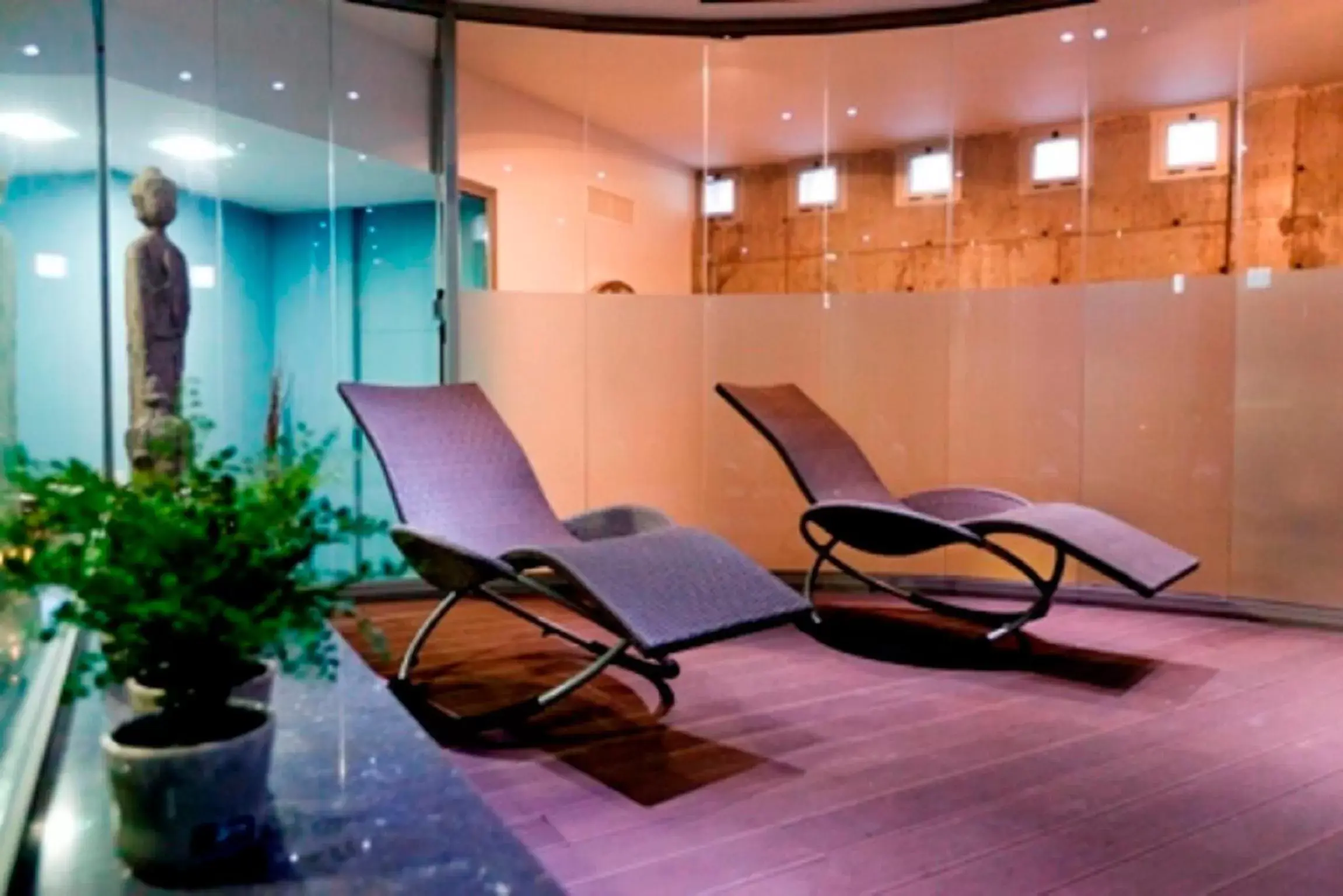 Spa and wellness centre/facilities in Hotel MasMonzon