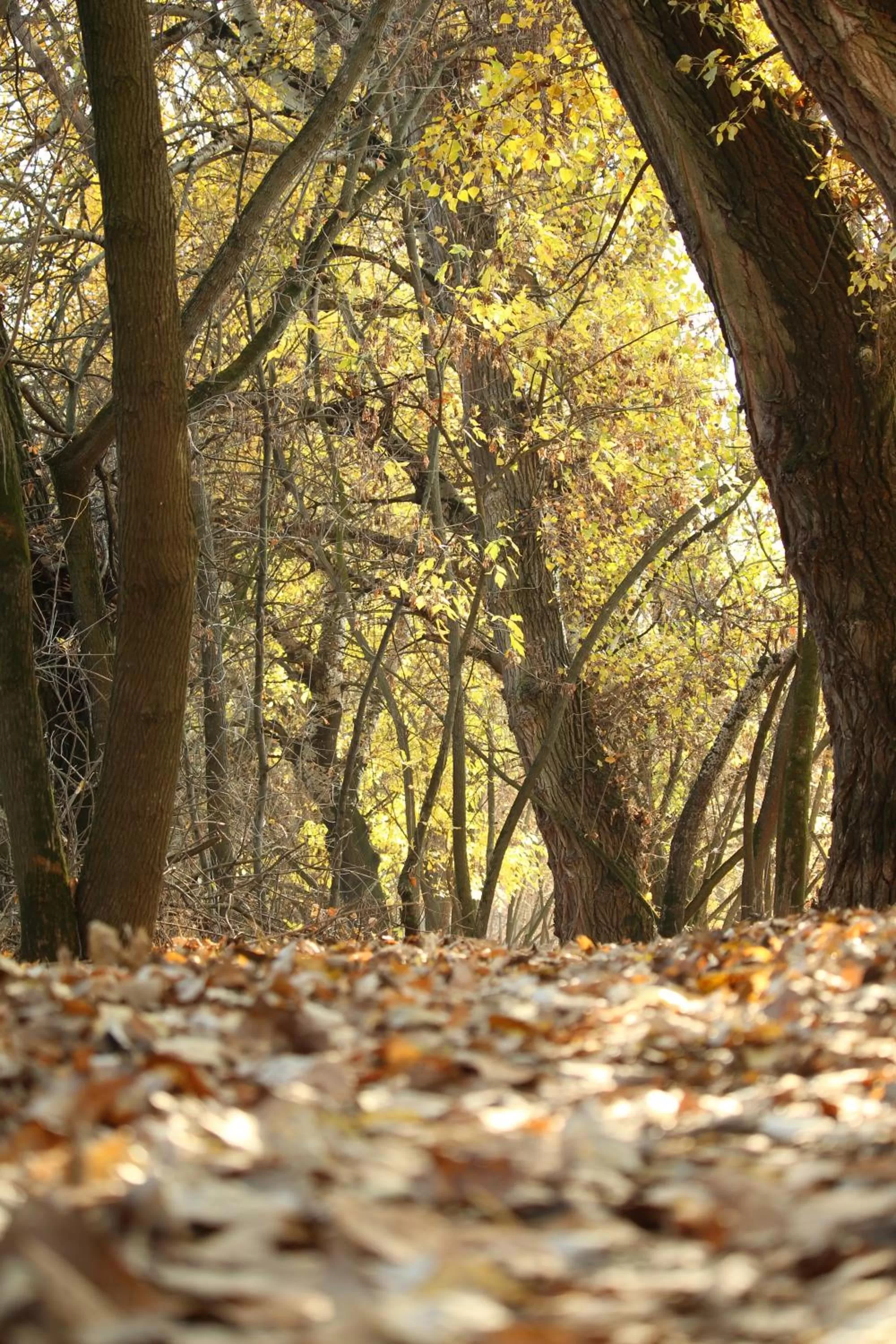 Hiking in Levendula Hotel