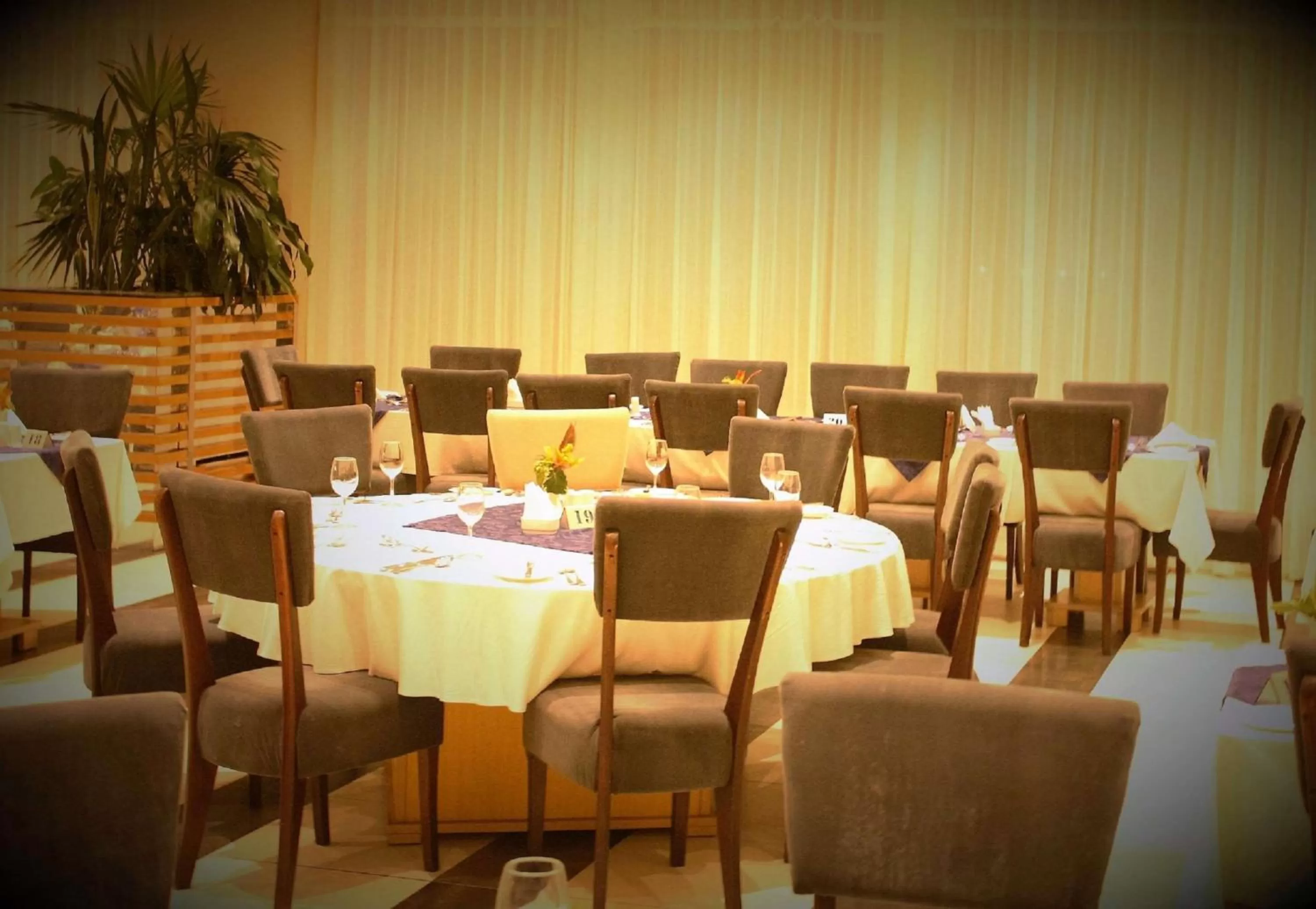 Restaurant/places to eat in Best Western Plus Serene Atlantic Hotel