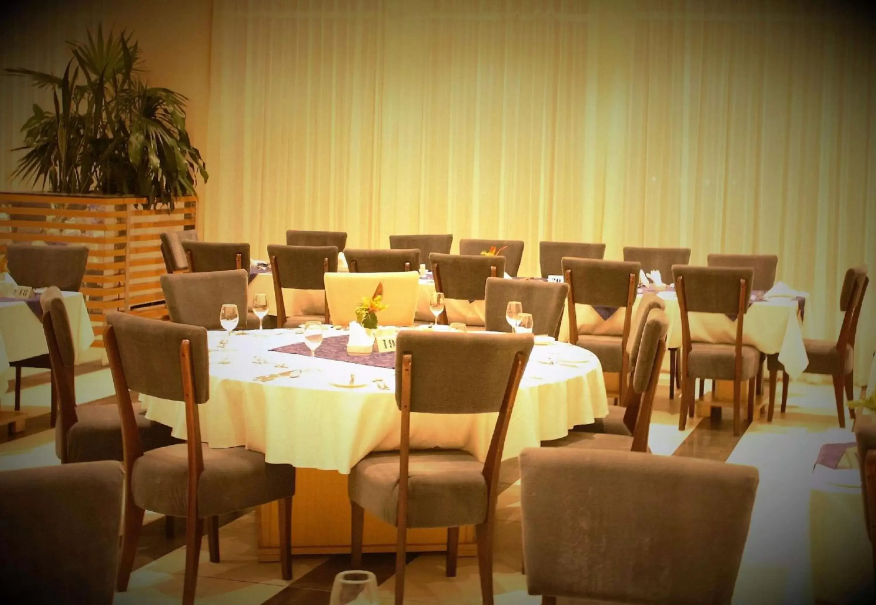 Restaurant/places to eat in Best Western Plus Serene Atlantic Hotel Restaurant/places to eat in Best Western Plus Serene Atlantic Hotel