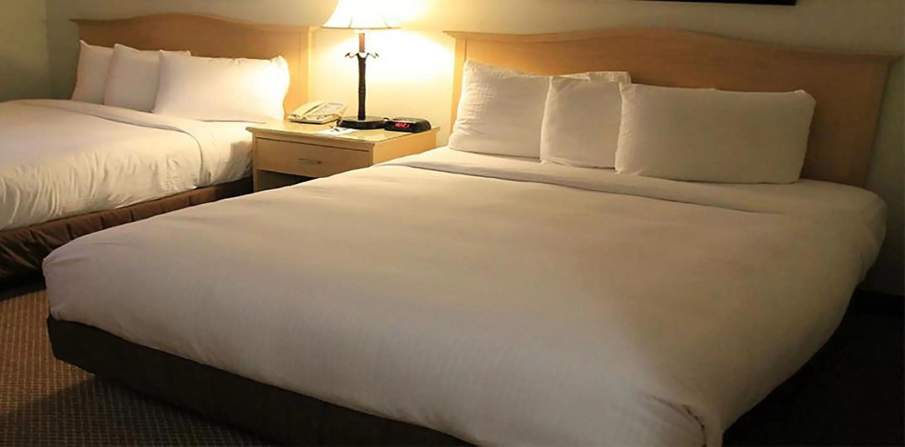 Bed in Isle of Capri Casino Hotel Lula