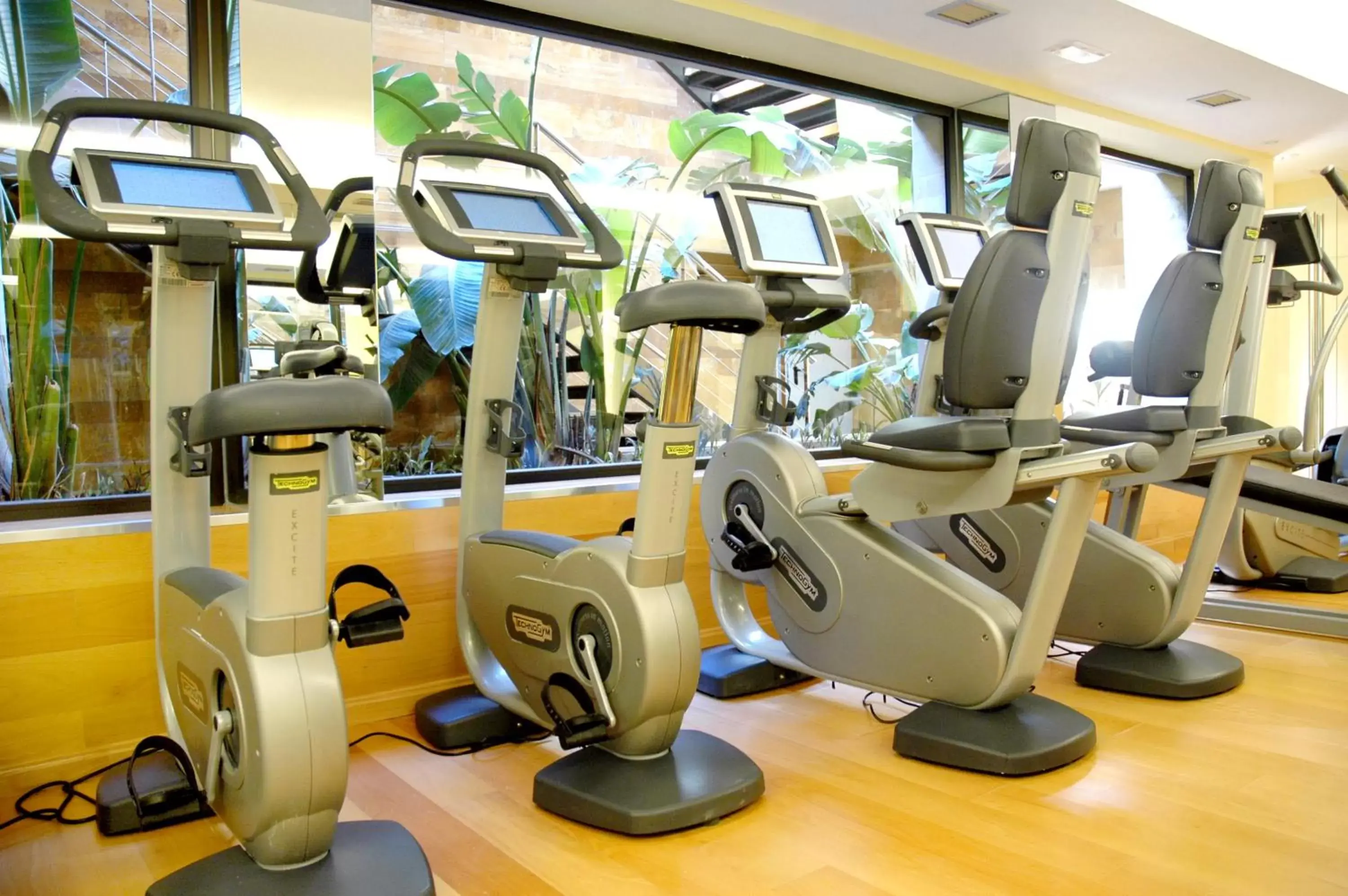 Fitness centre/facilities, Fitness Center/Facilities in Gran Hotel Guadalpín Banus