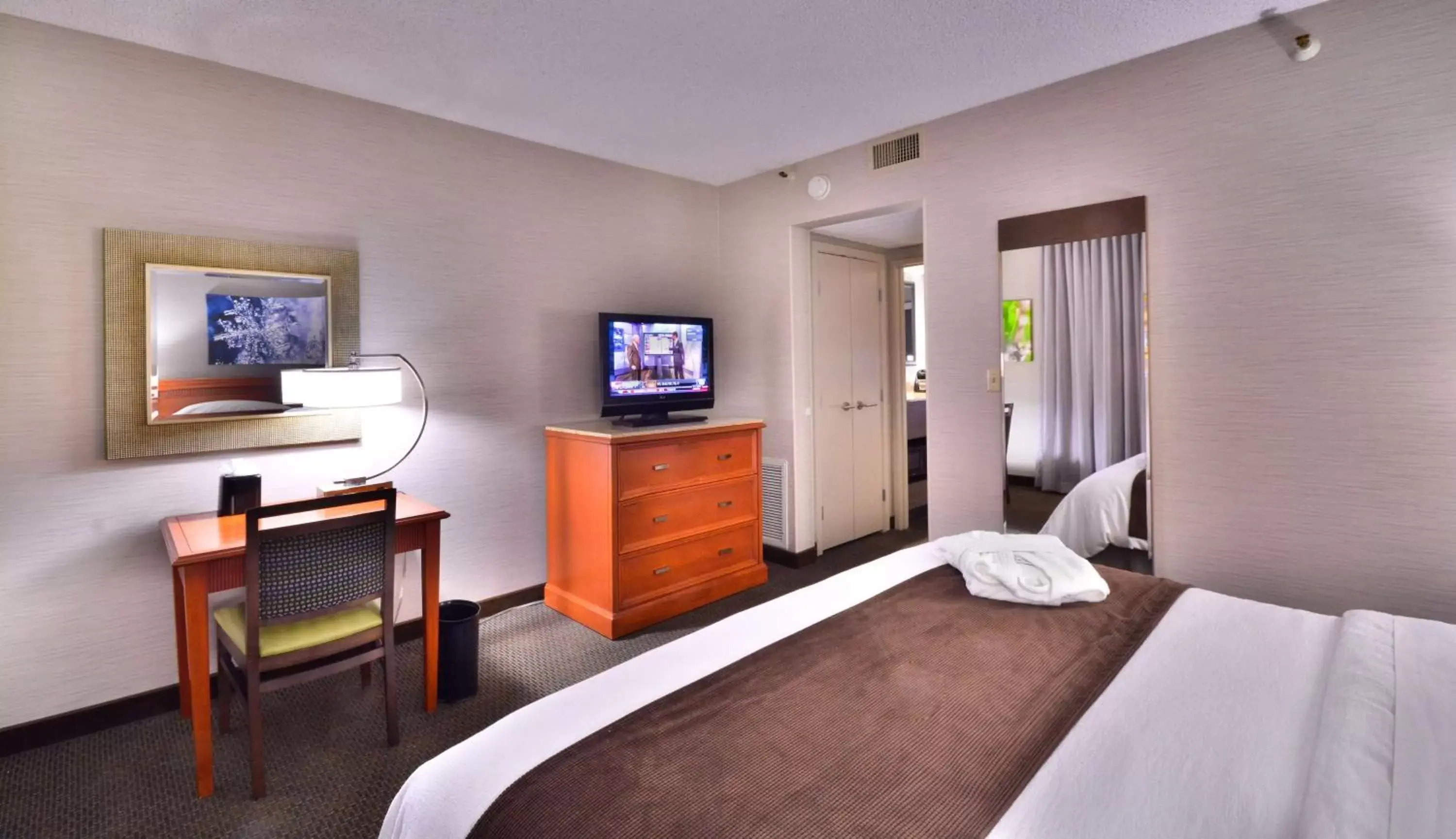 Bed, TV/Entertainment Center in Embassy Suites by Hilton Denver Central Park