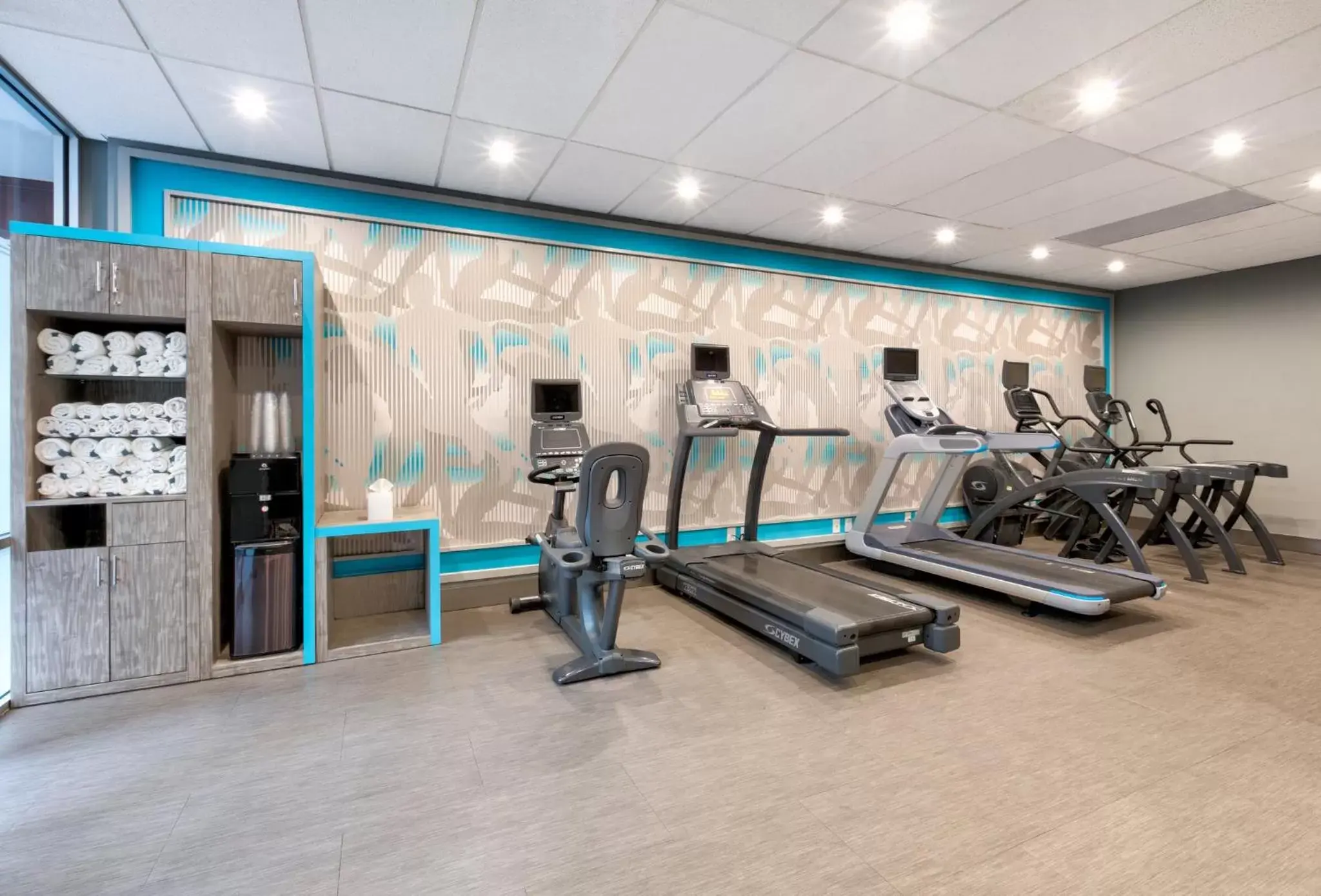 Spa and wellness centre/facilities, Fitness Center/Facilities in Crowne Plaza Suites Arlington, an IHG Hotel