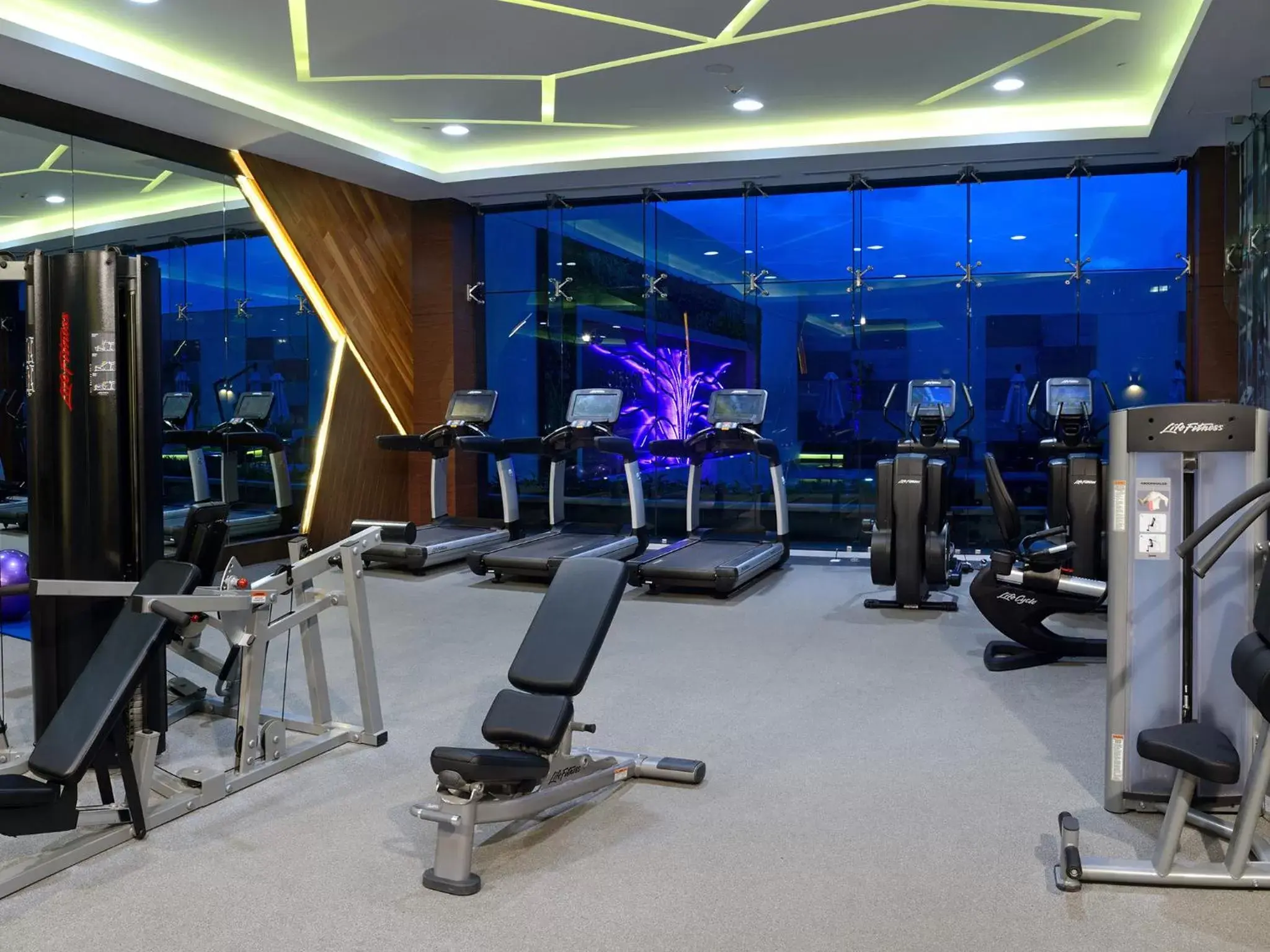 Fitness centre/facilities, Fitness Center/Facilities in HS HOTSSON Hotel Irapuato