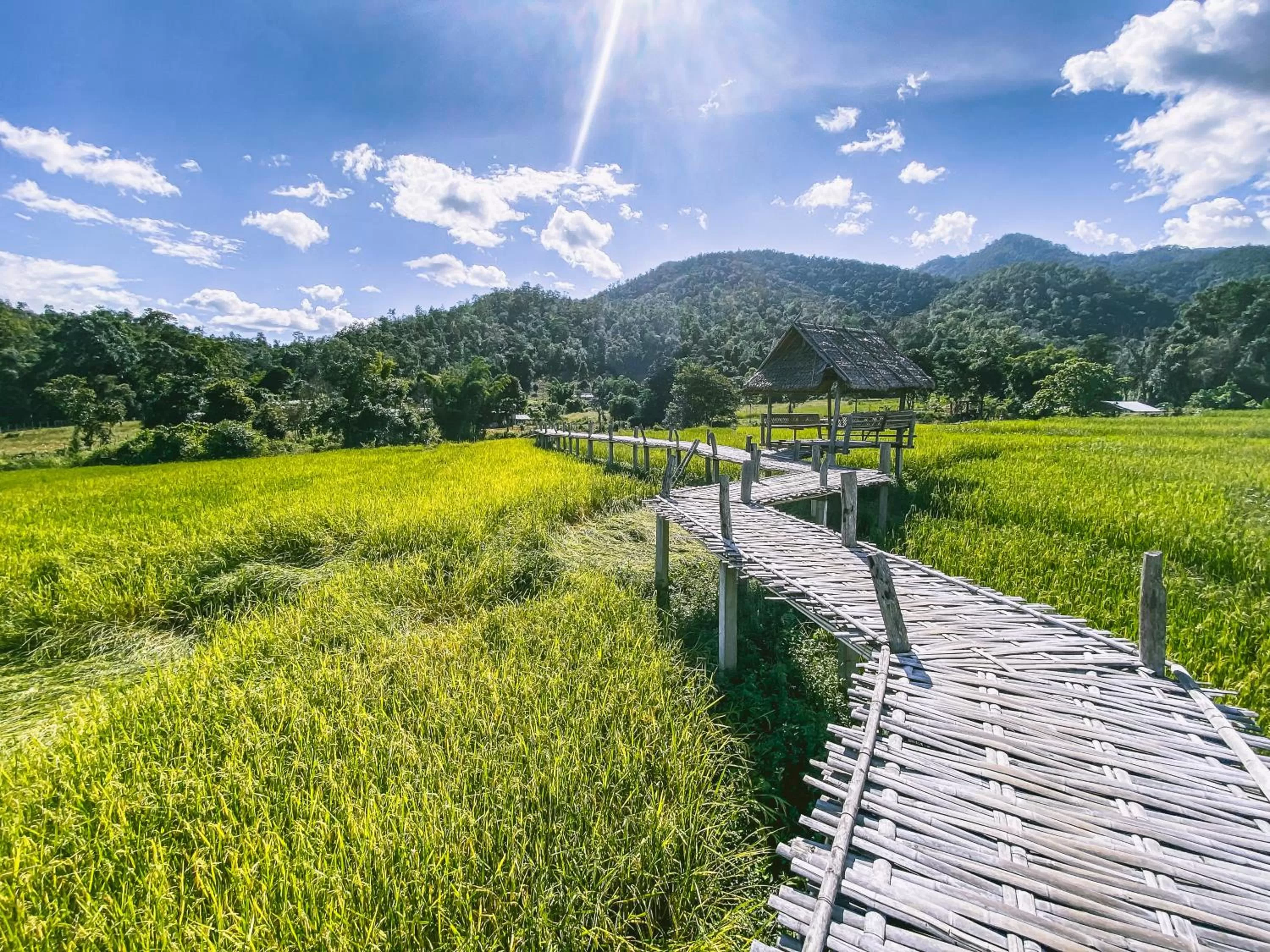 Nearby landmark in Pura Vida Pai Resort