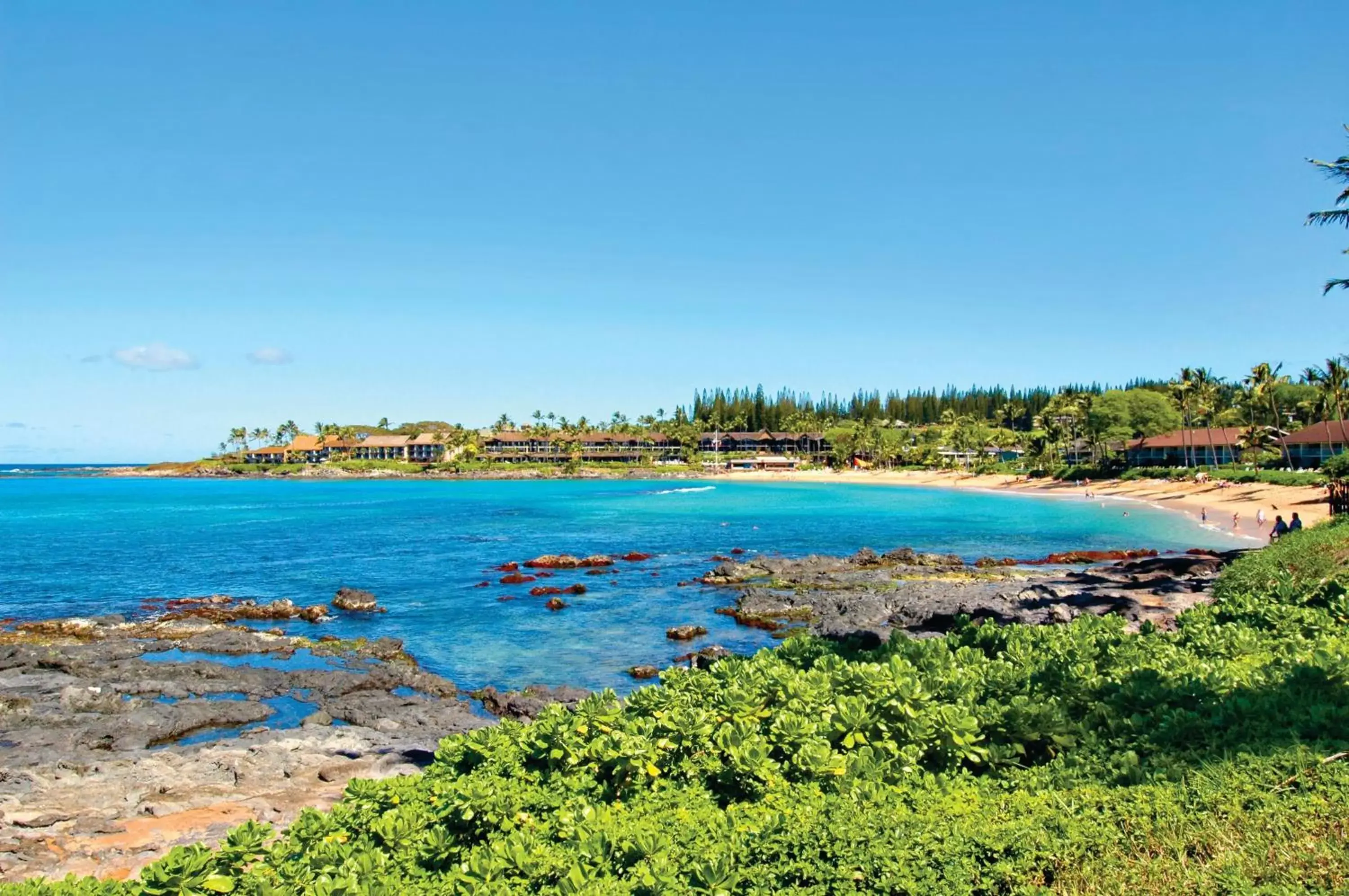 Natural landscape in Napili Shores Maui by OUTRIGGER - No Resort & Housekeeping Fees