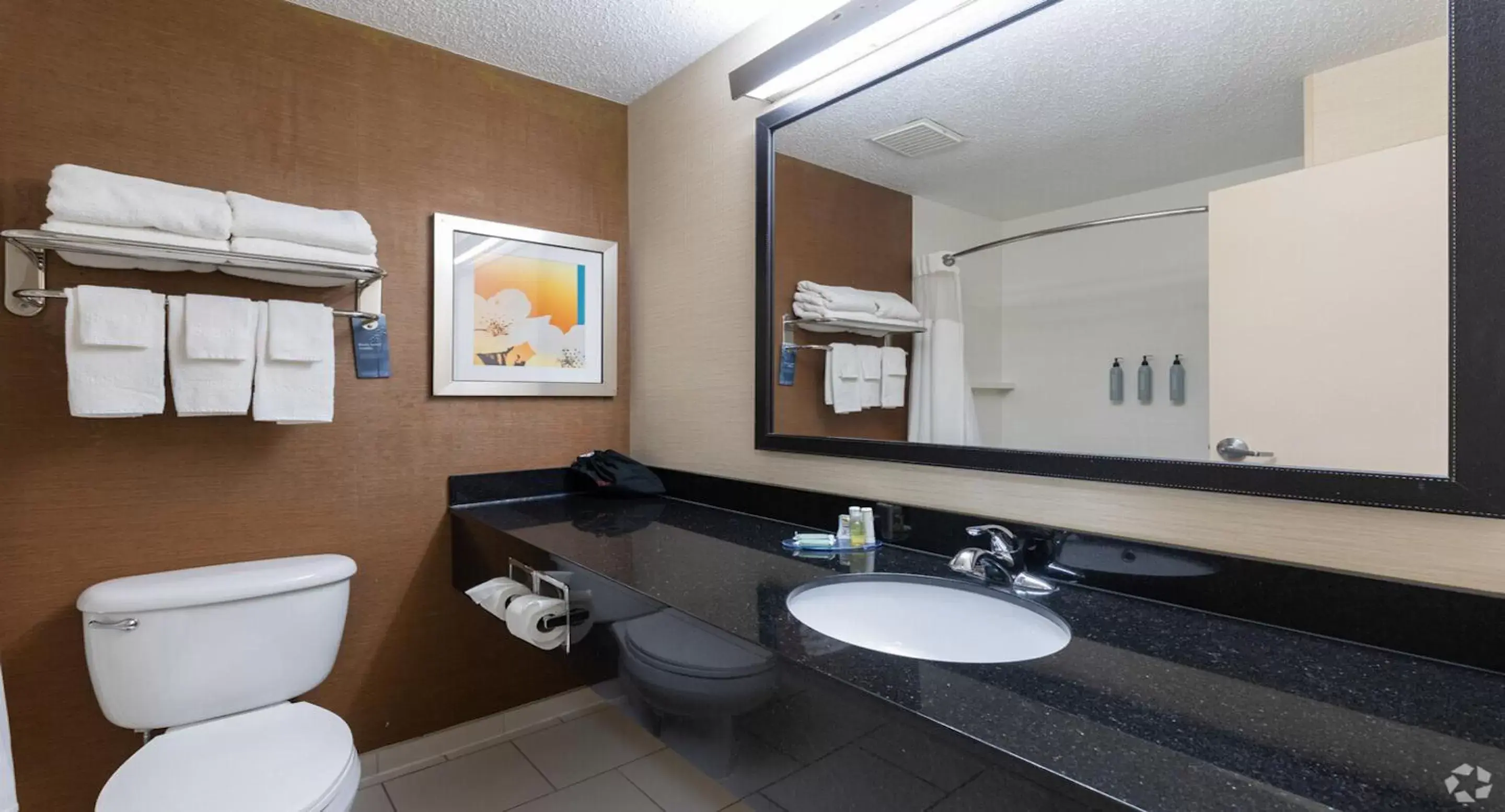 Bathroom in SureStay by Best Western Bryan College Station