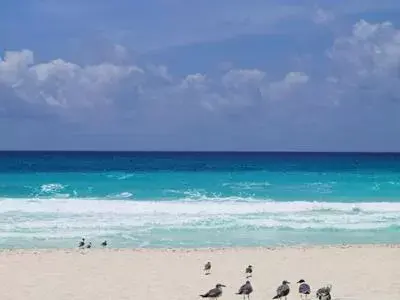 Beach in Apartment Ocean Front Cancun