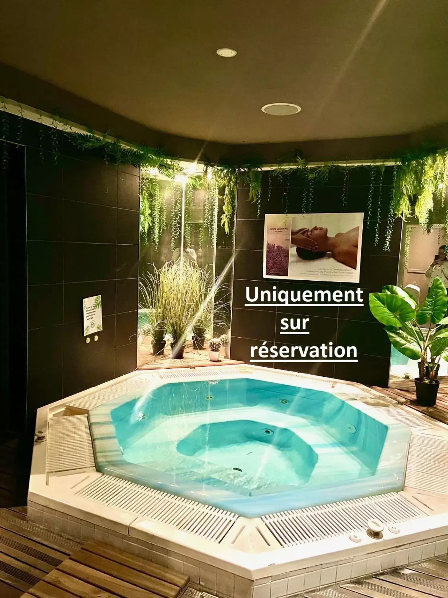 Massage, Swimming Pool in Kyriad Restaurant Centre Vichy