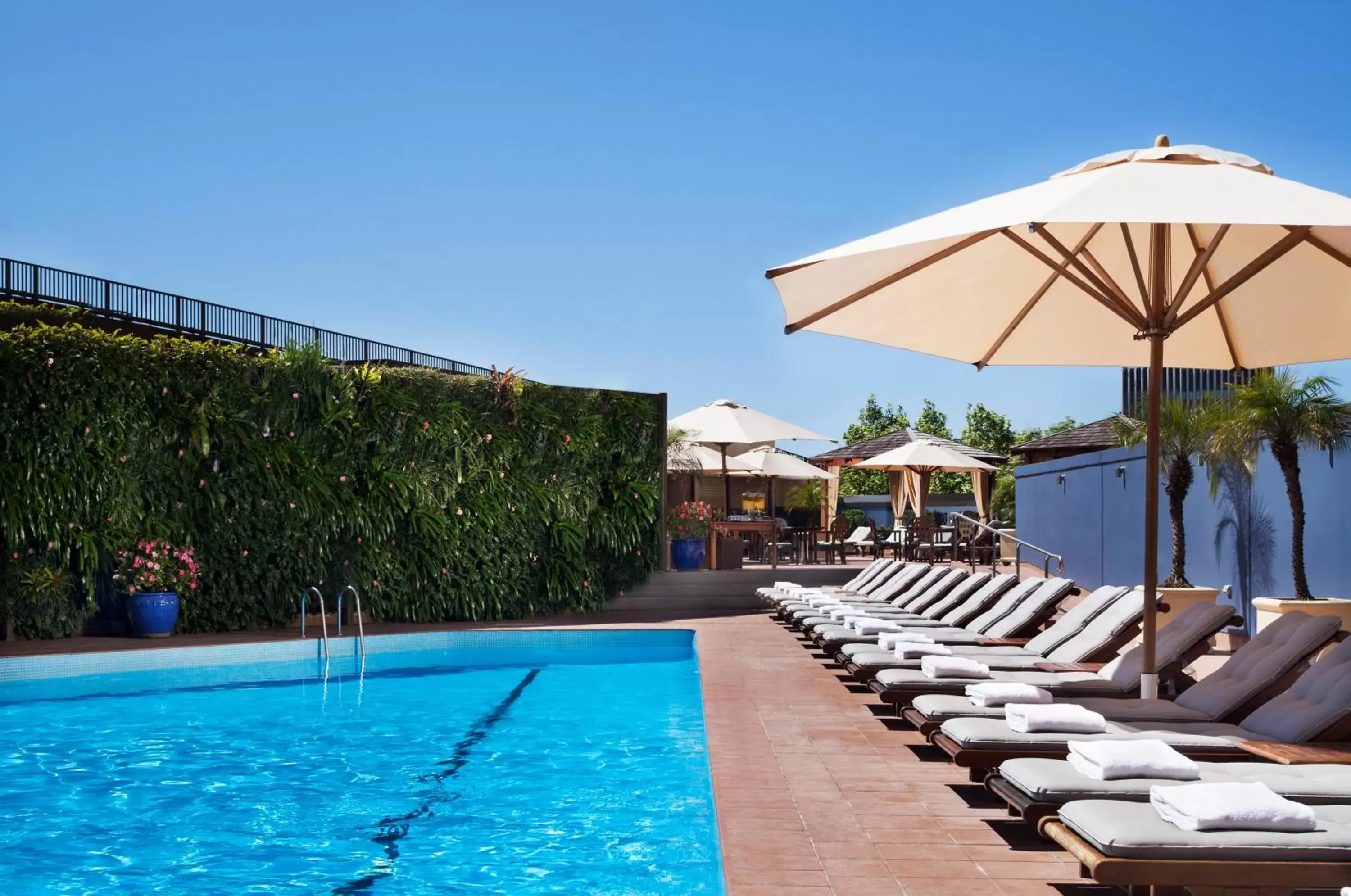 Swimming Pool in Four Seasons Hotel Sydney