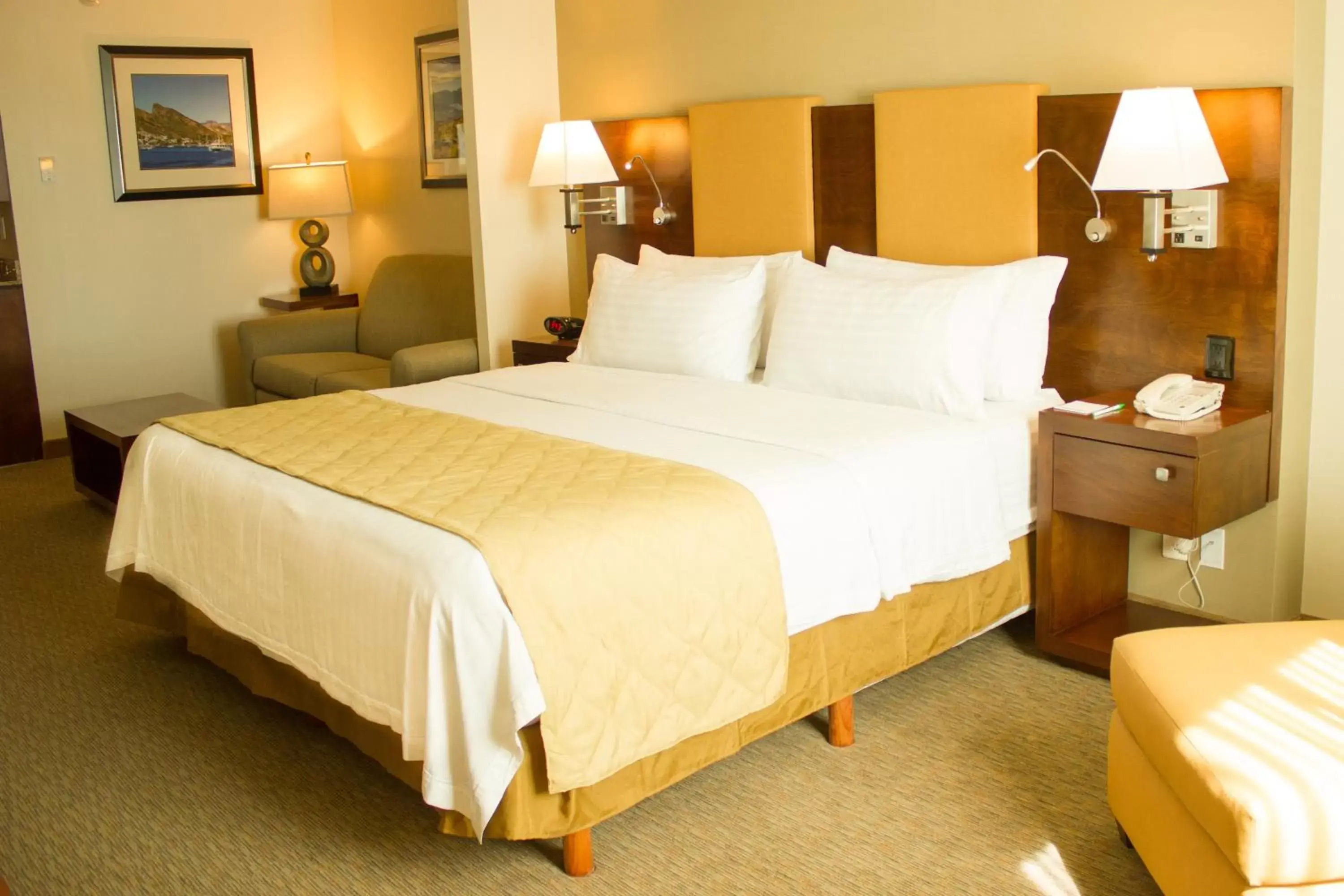 Living room, Bed in Holiday Inn Hotel & Suites Hermosillo Aeropuerto, an IHG Hotel
