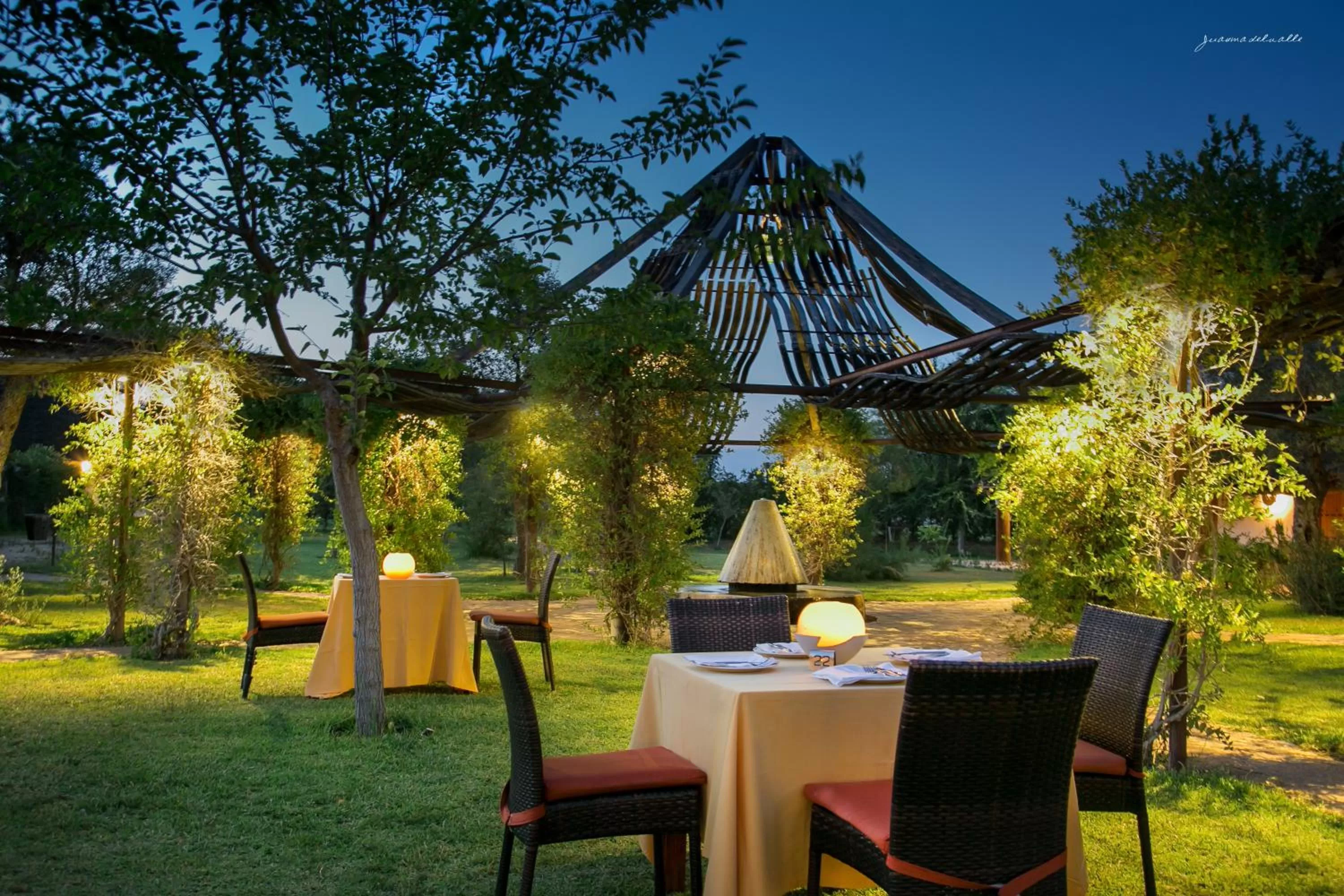 Restaurant/places to eat in Ardea Purpurea