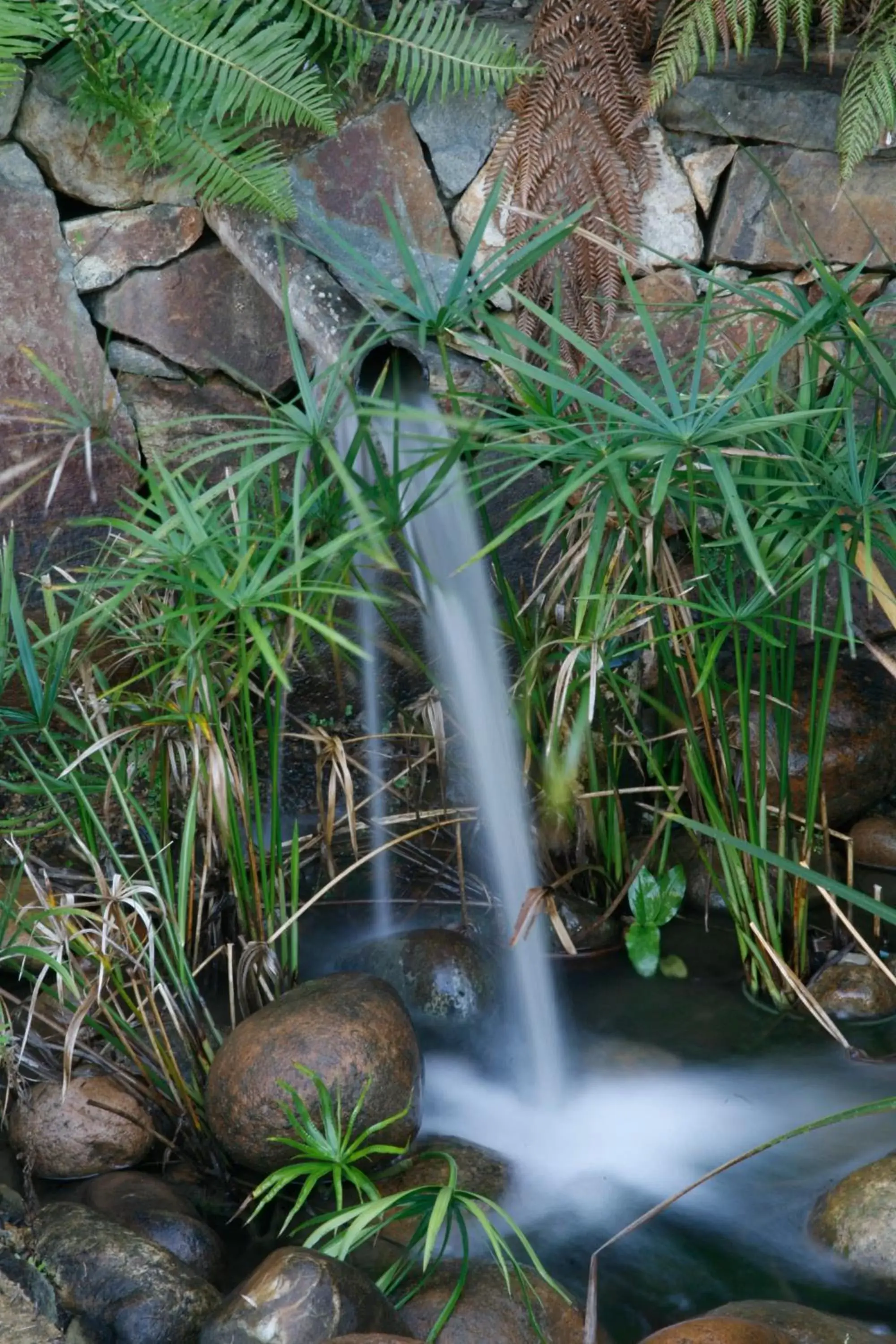 Other, Garden in Tathra Beach House Holiday Apartments