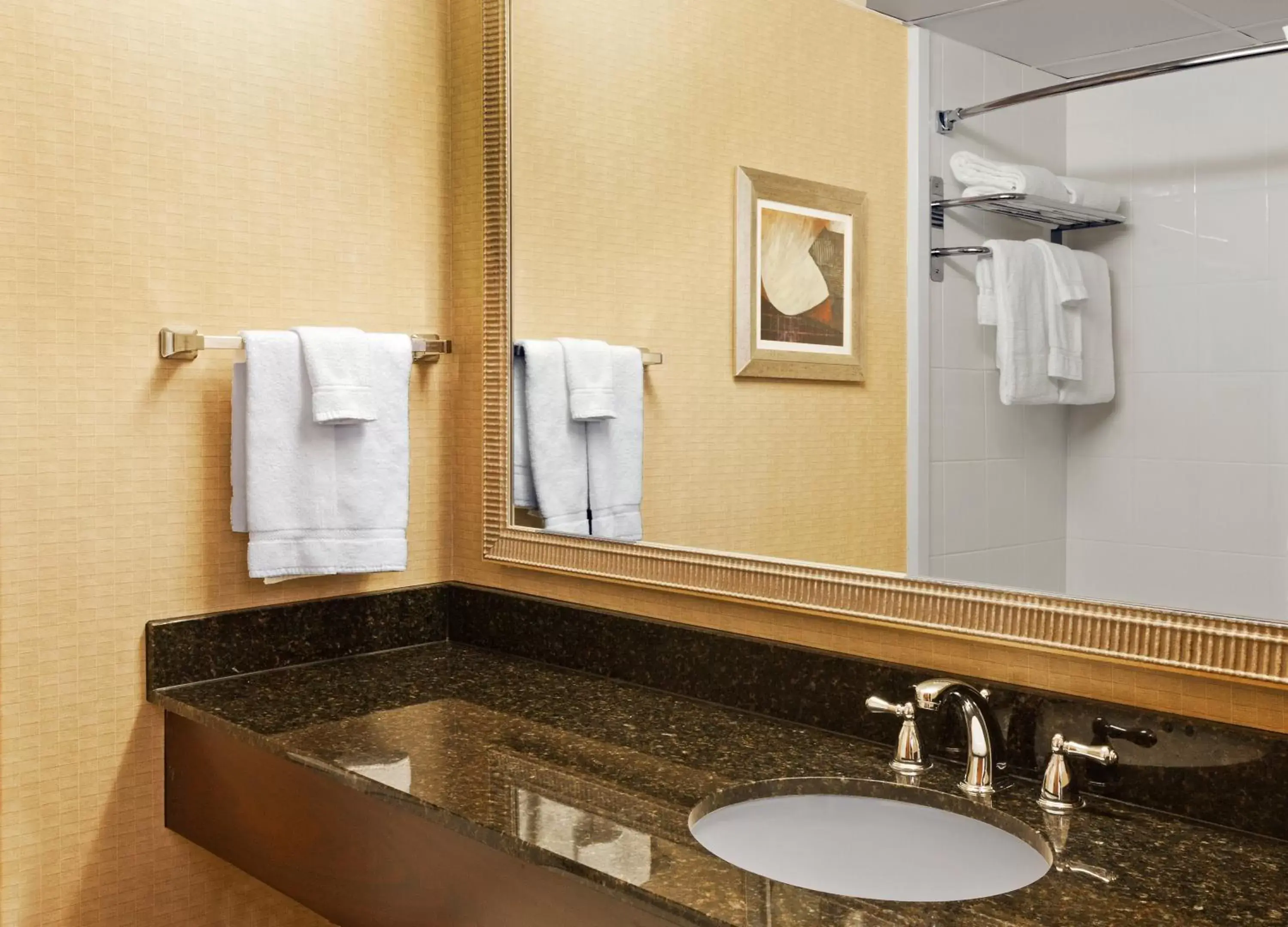 Bathroom in Holiday Inn Hotel & Suites Springfield, an IHG Hotel